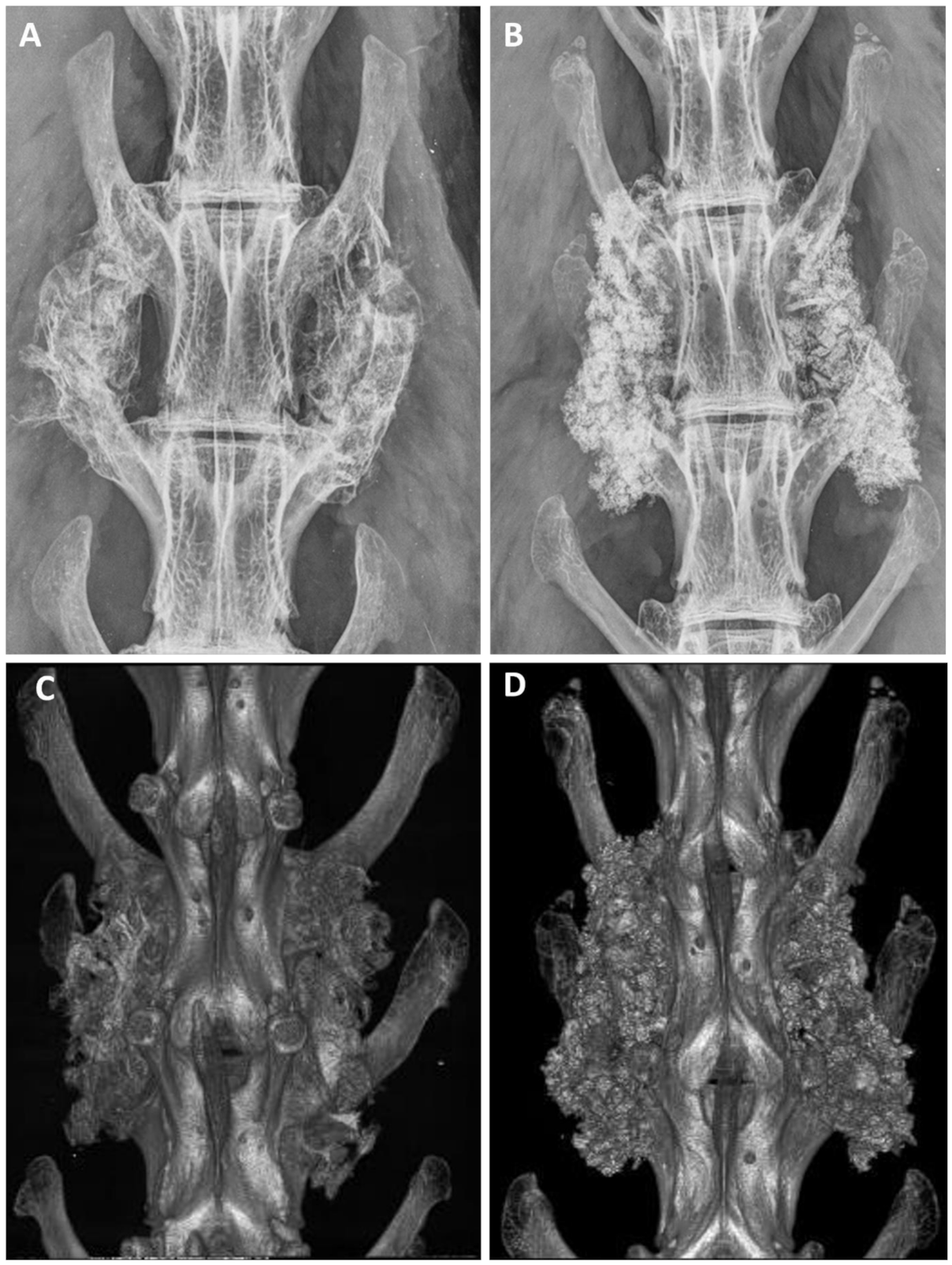 Materials 15 01346 g004