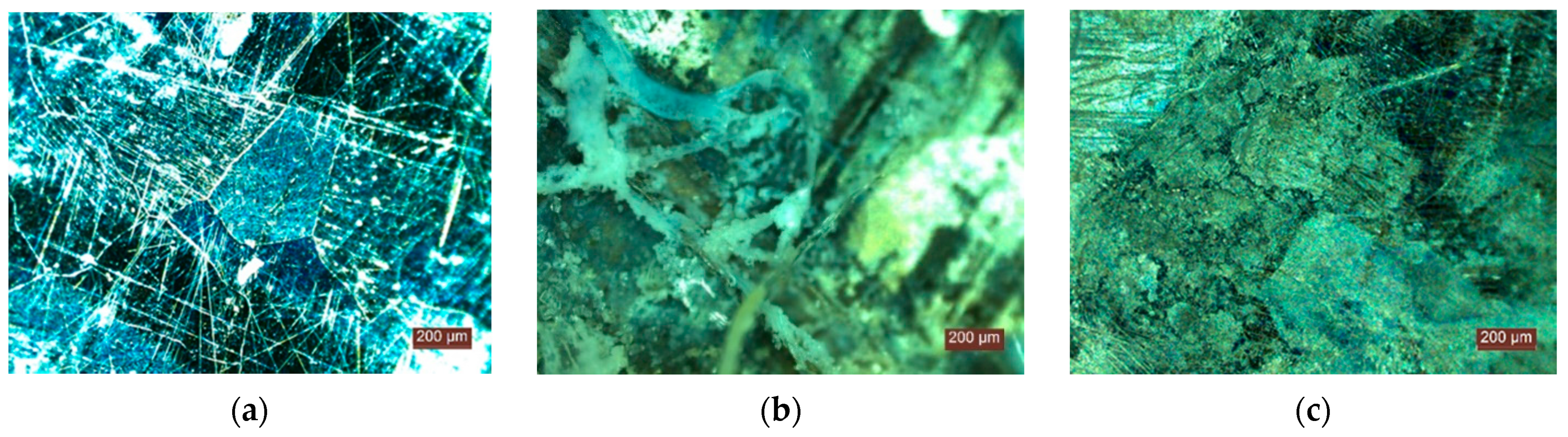 Materials 15 01348 g010 Materials 15 01348 g010