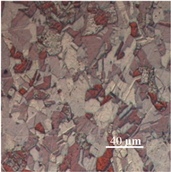 Materials 15 01368 i002