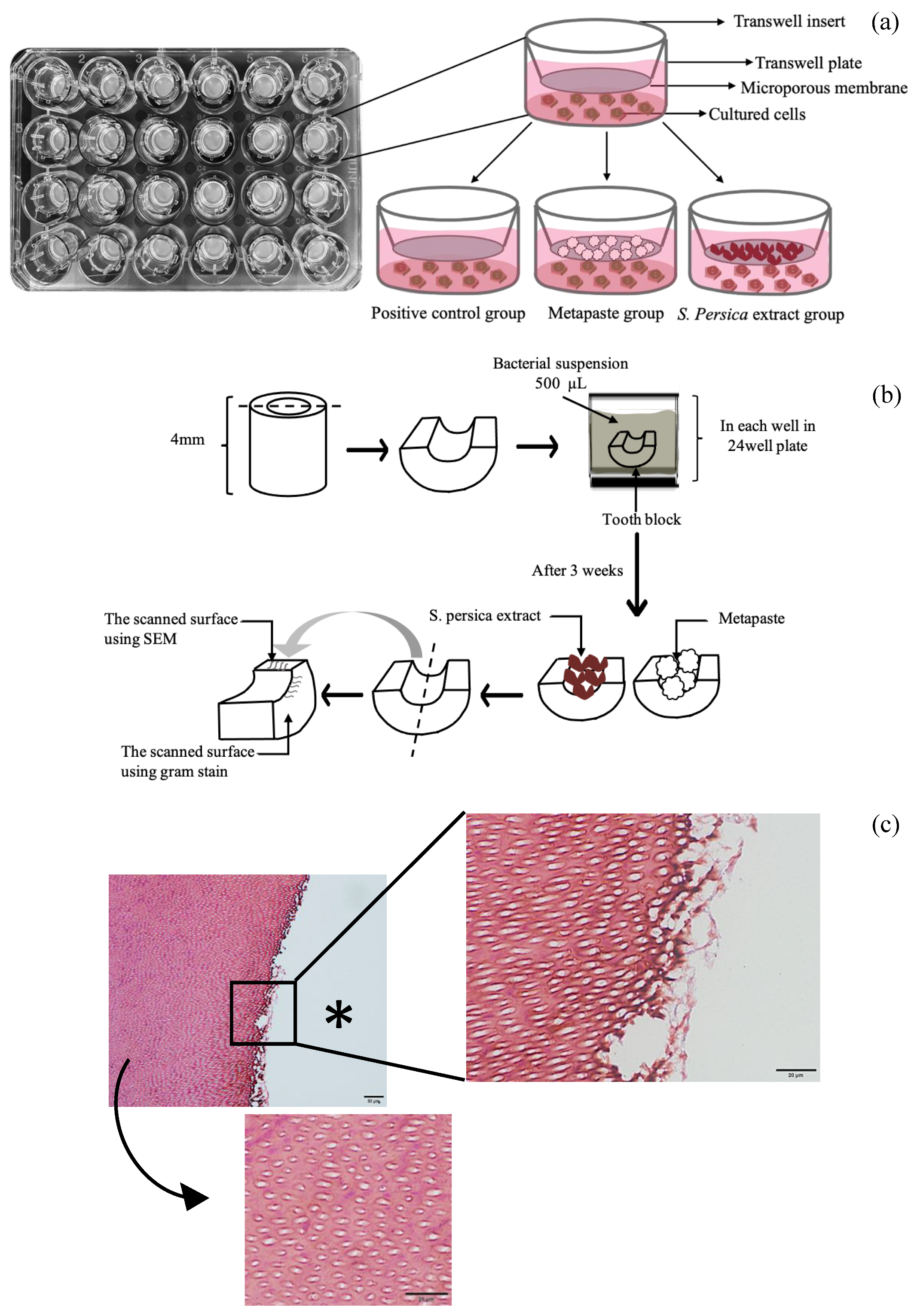 Materials 15 01373 g002