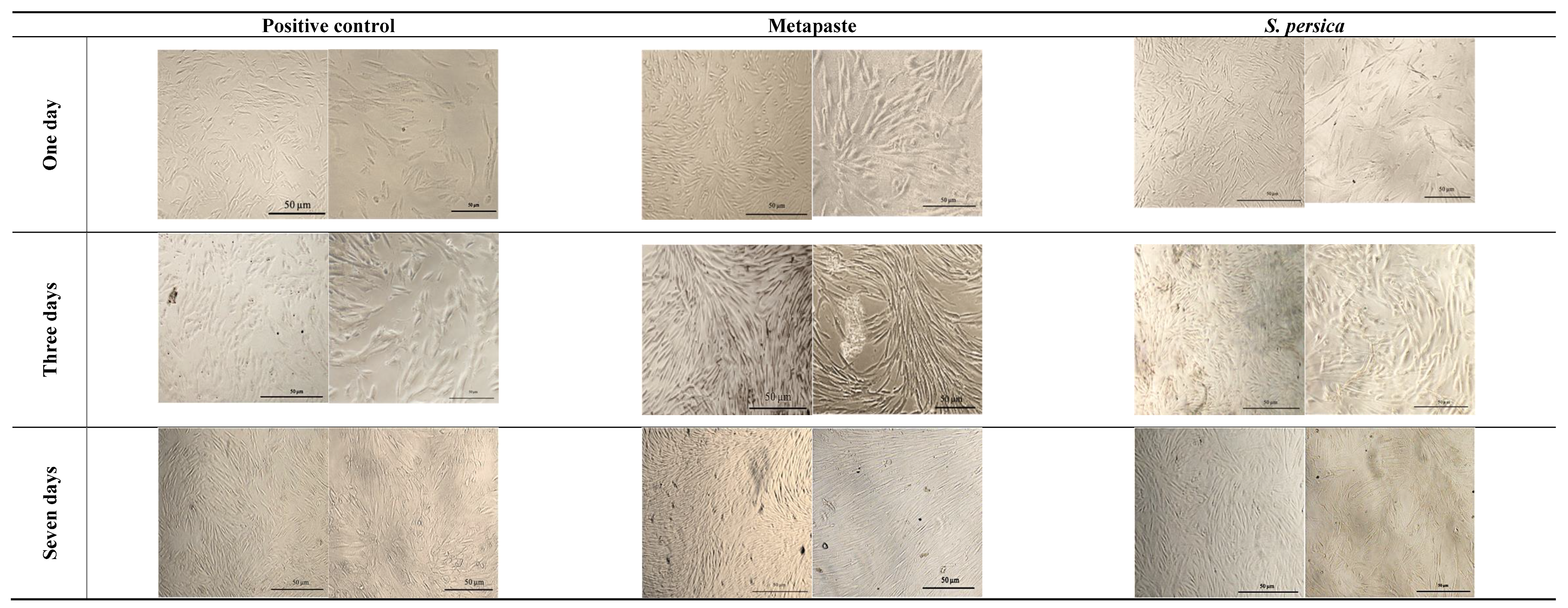 Materials 15 01373 g003
