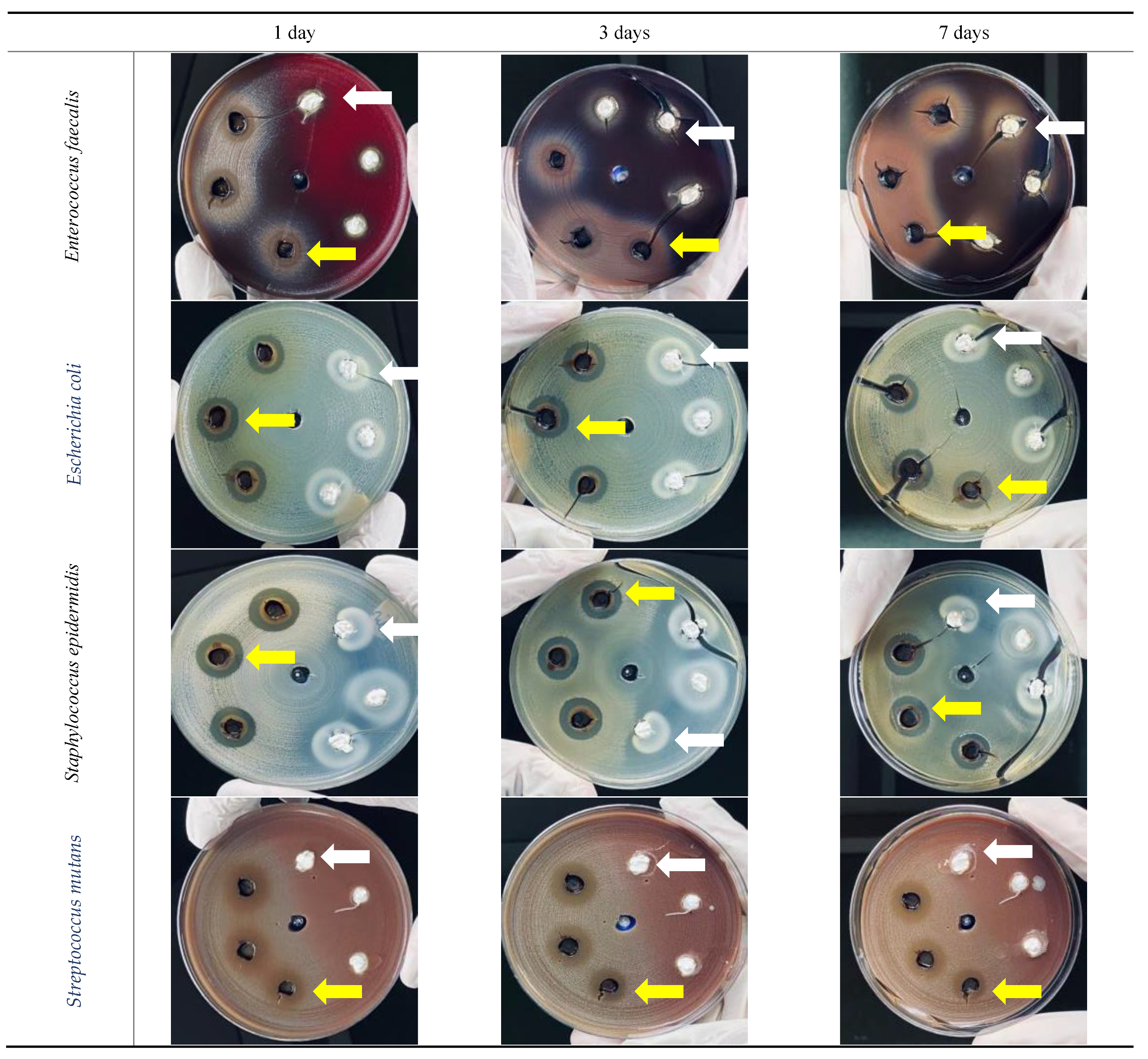Materials 15 01373 g005