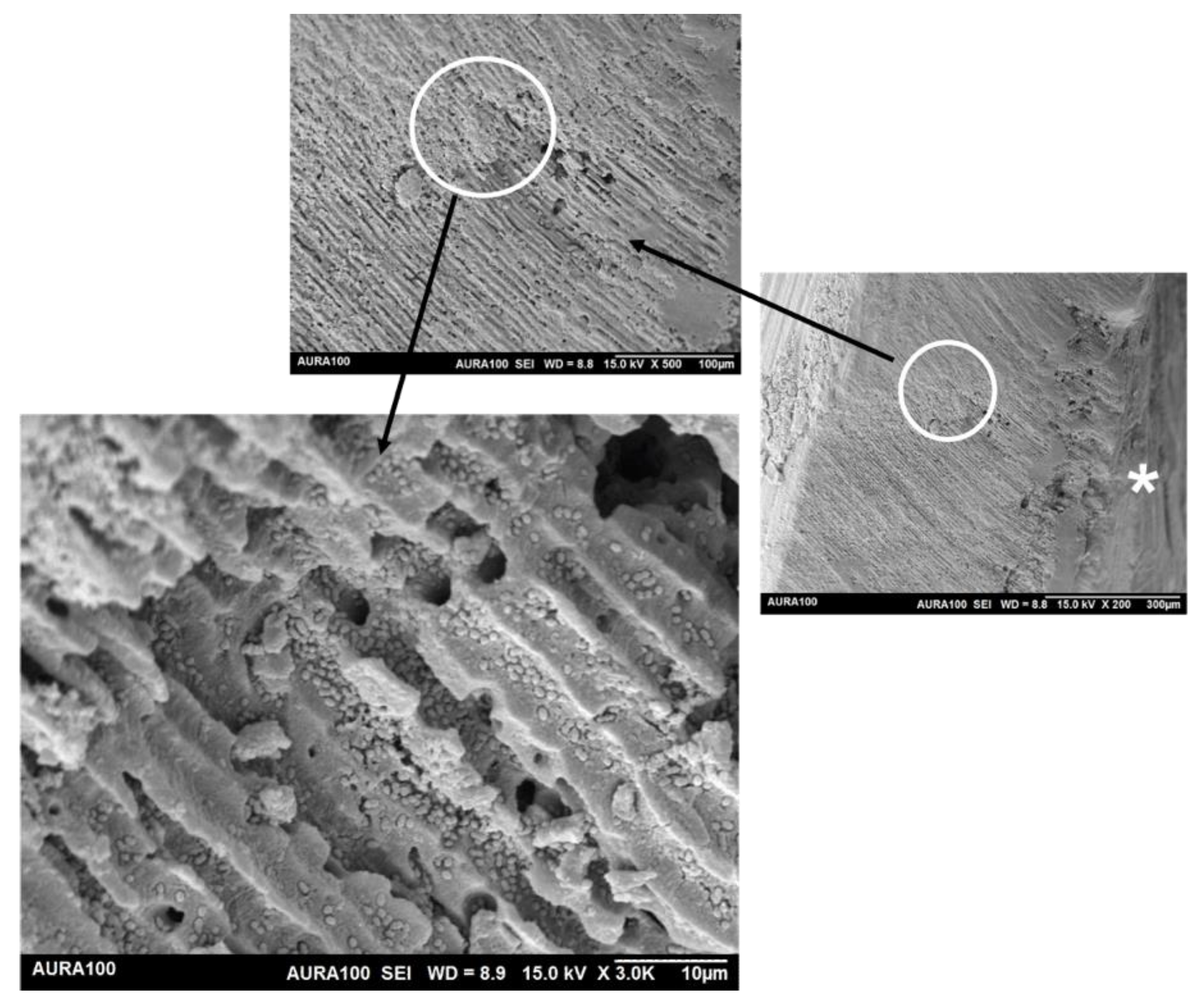 Materials 15 01373 g007