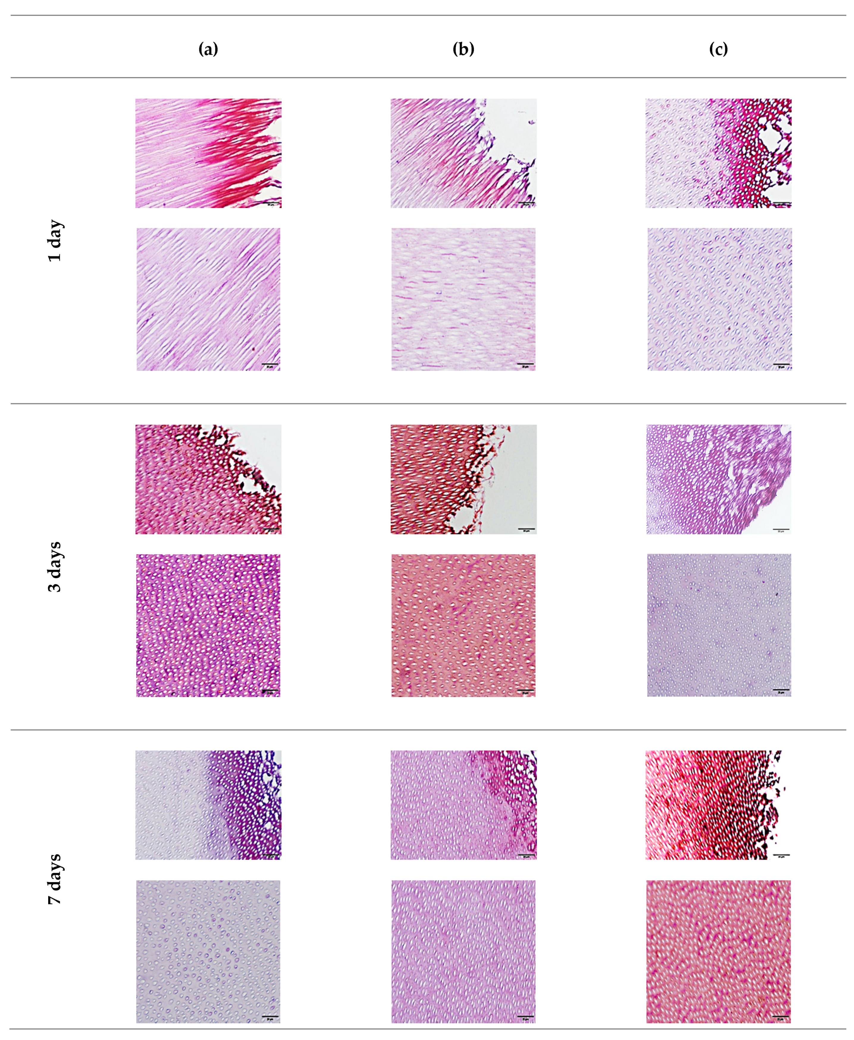 Materials 15 01373 g008