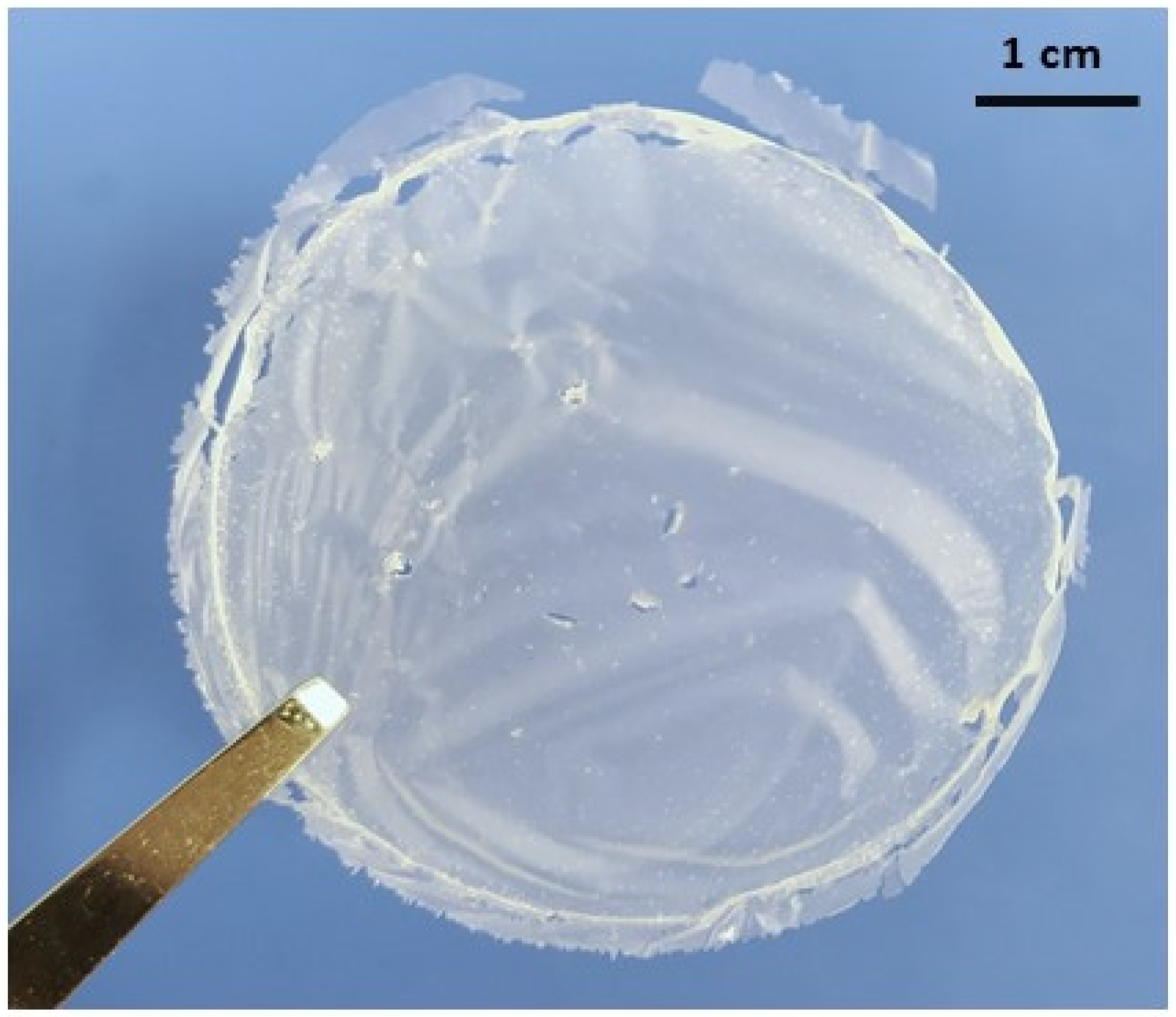 Materials 15 01375 g007