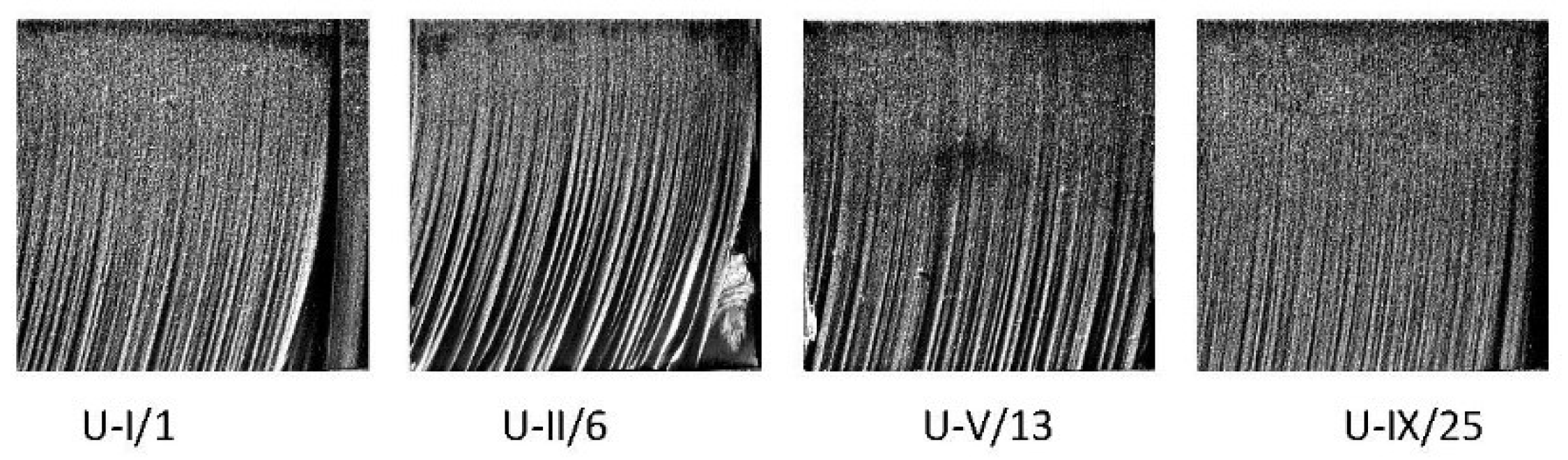 Materials 15 01381 g010