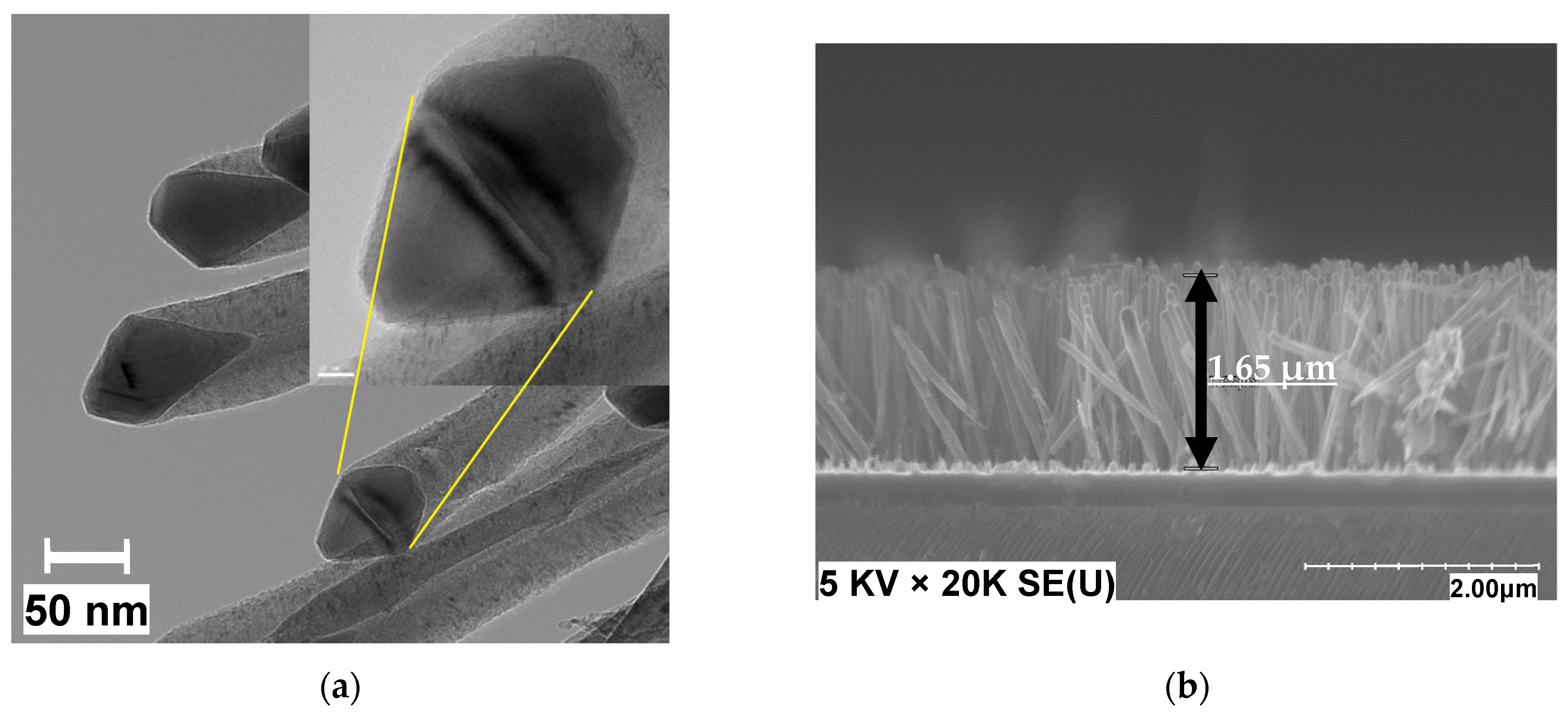 Materials 15 01383 g004