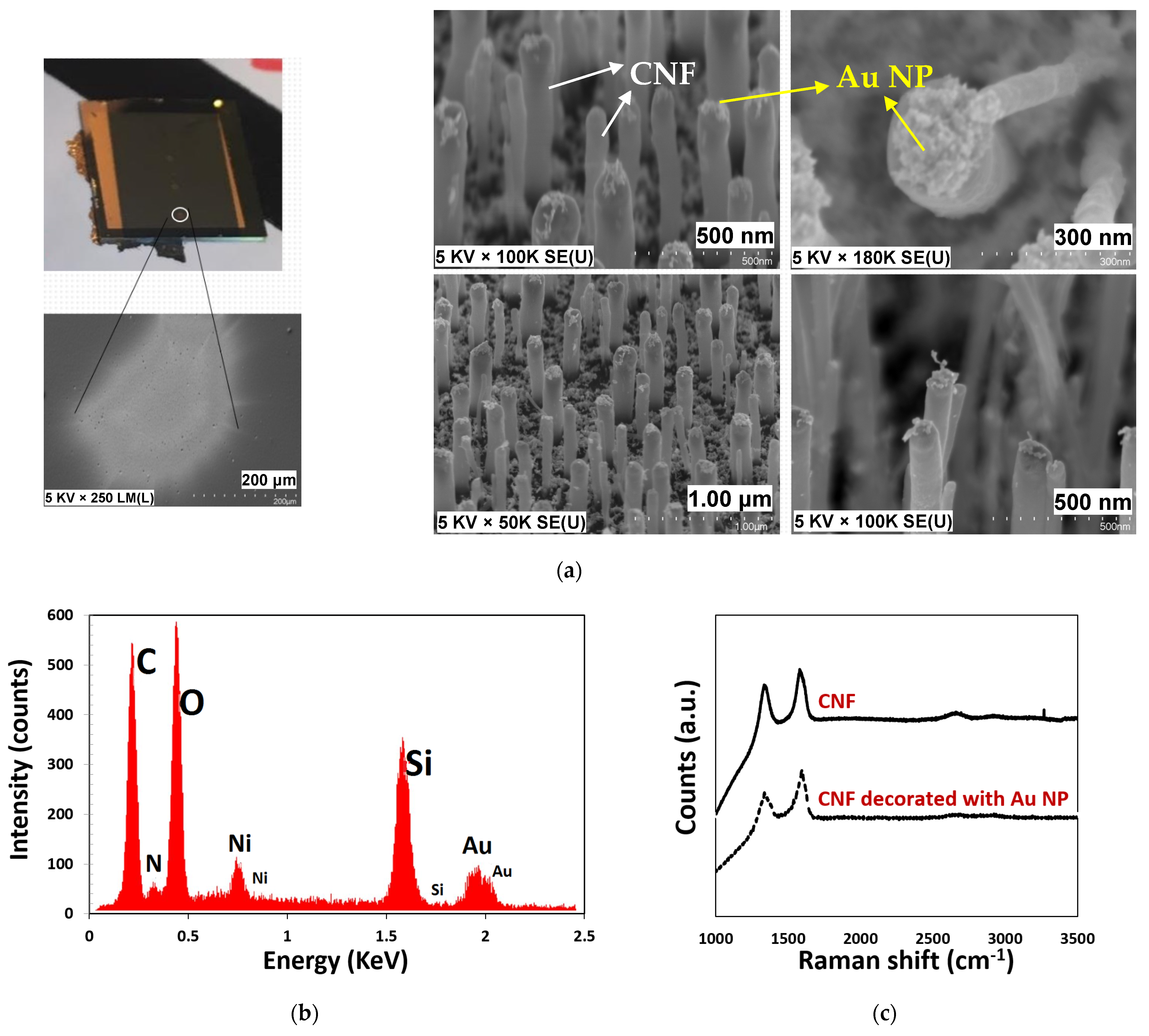 Materials 15 01383 g005