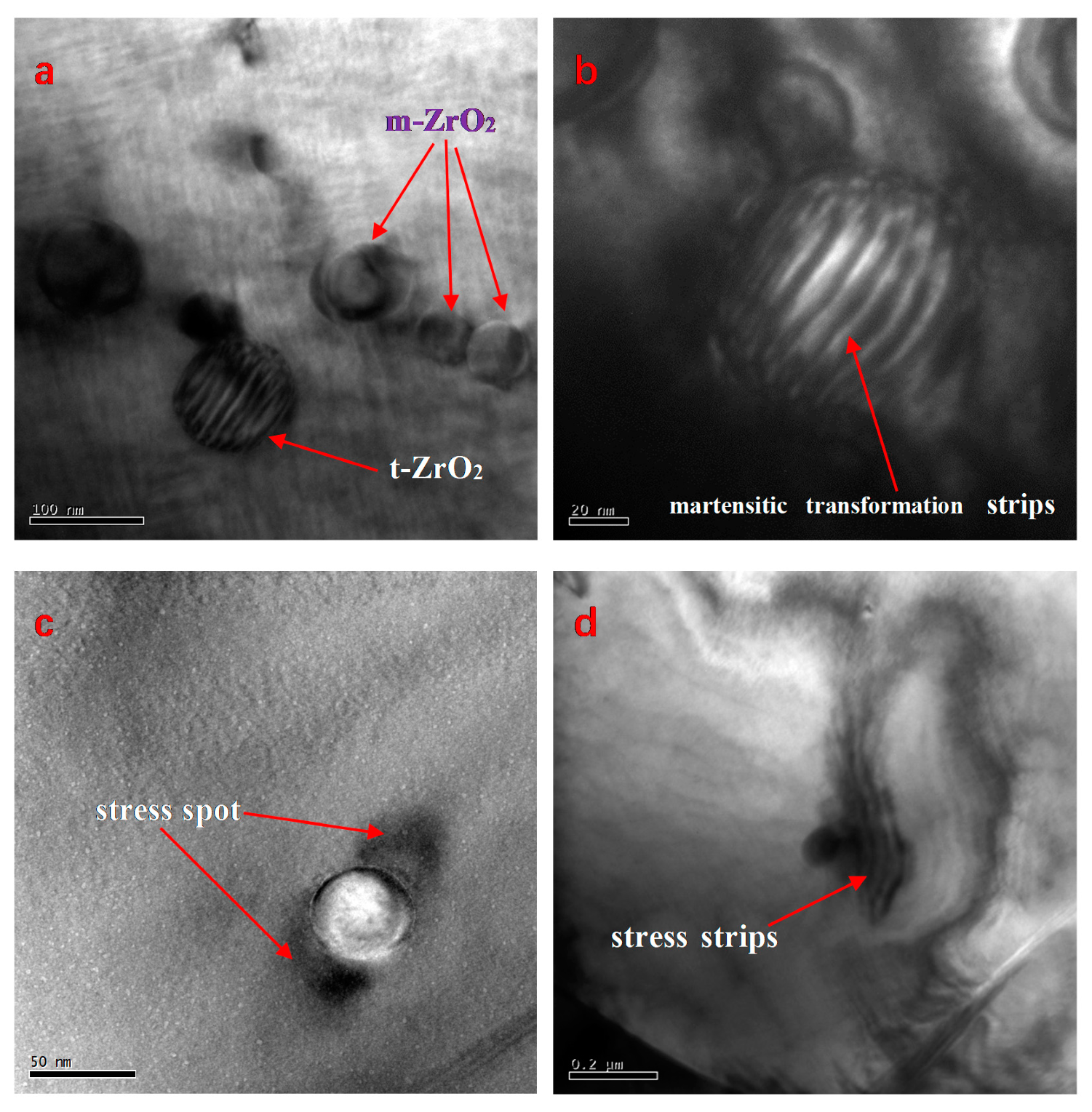 Materials 15 01389 g006