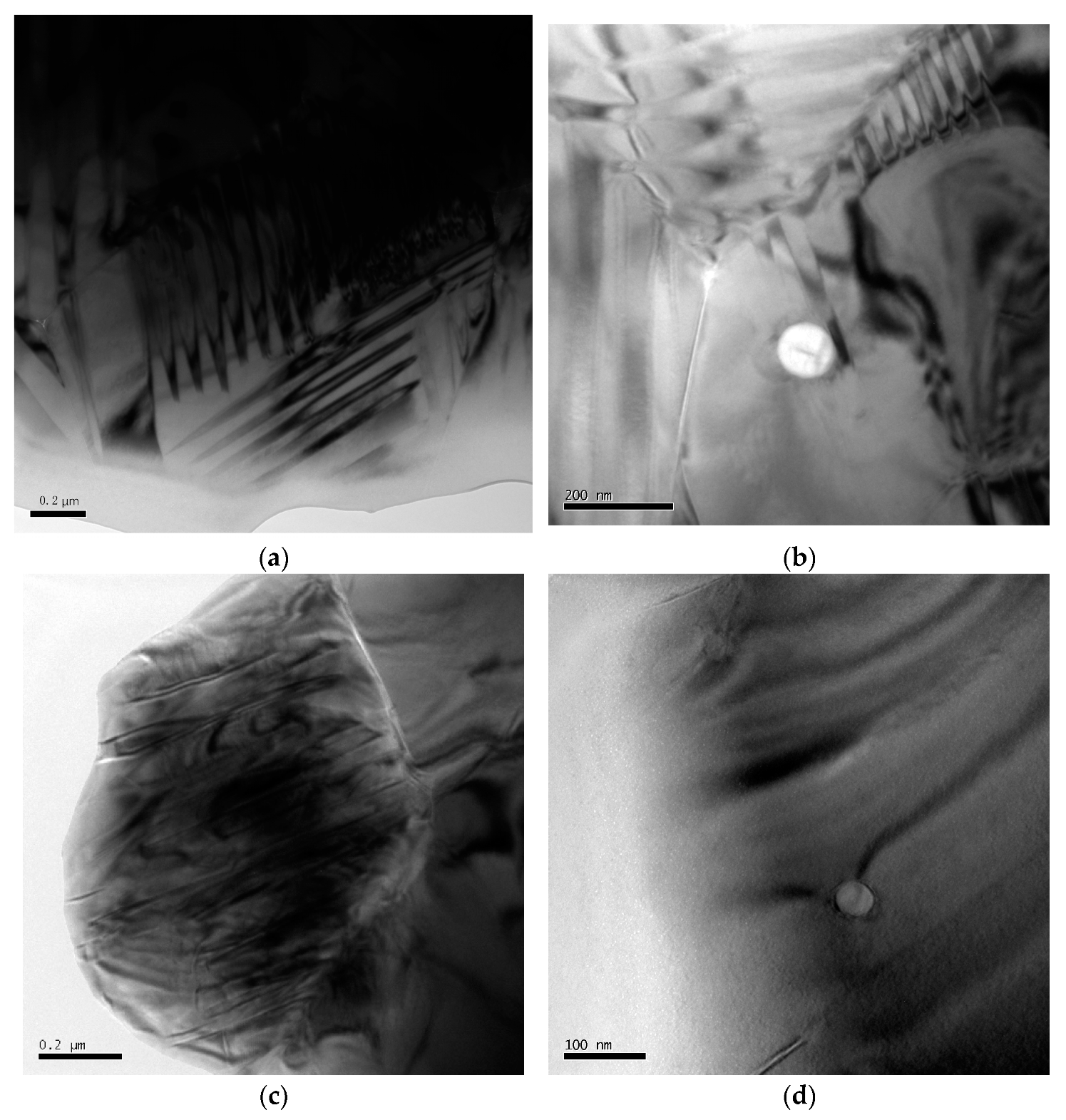 Materials 15 01389 g007