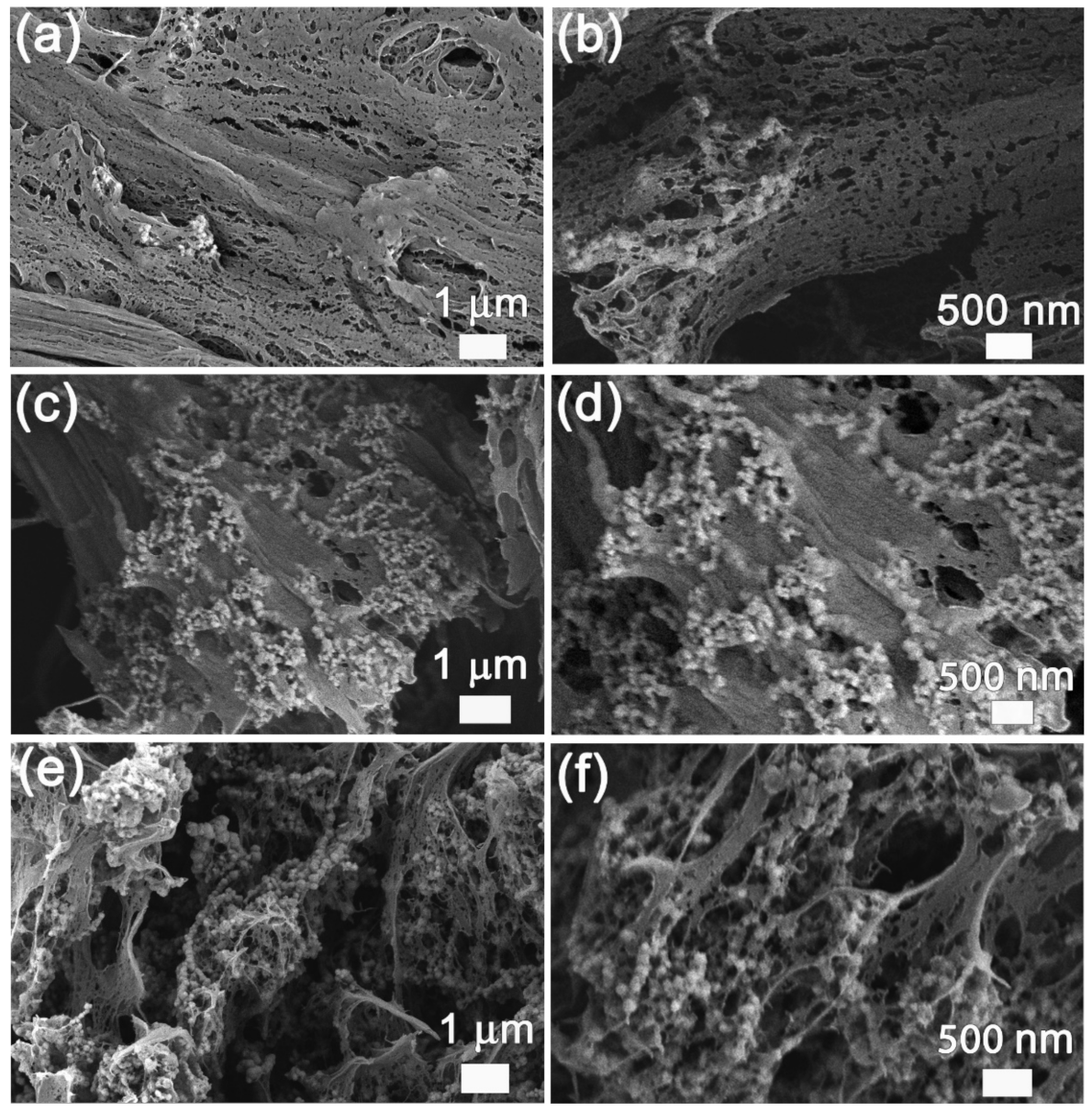 Materials 15 01412 g003