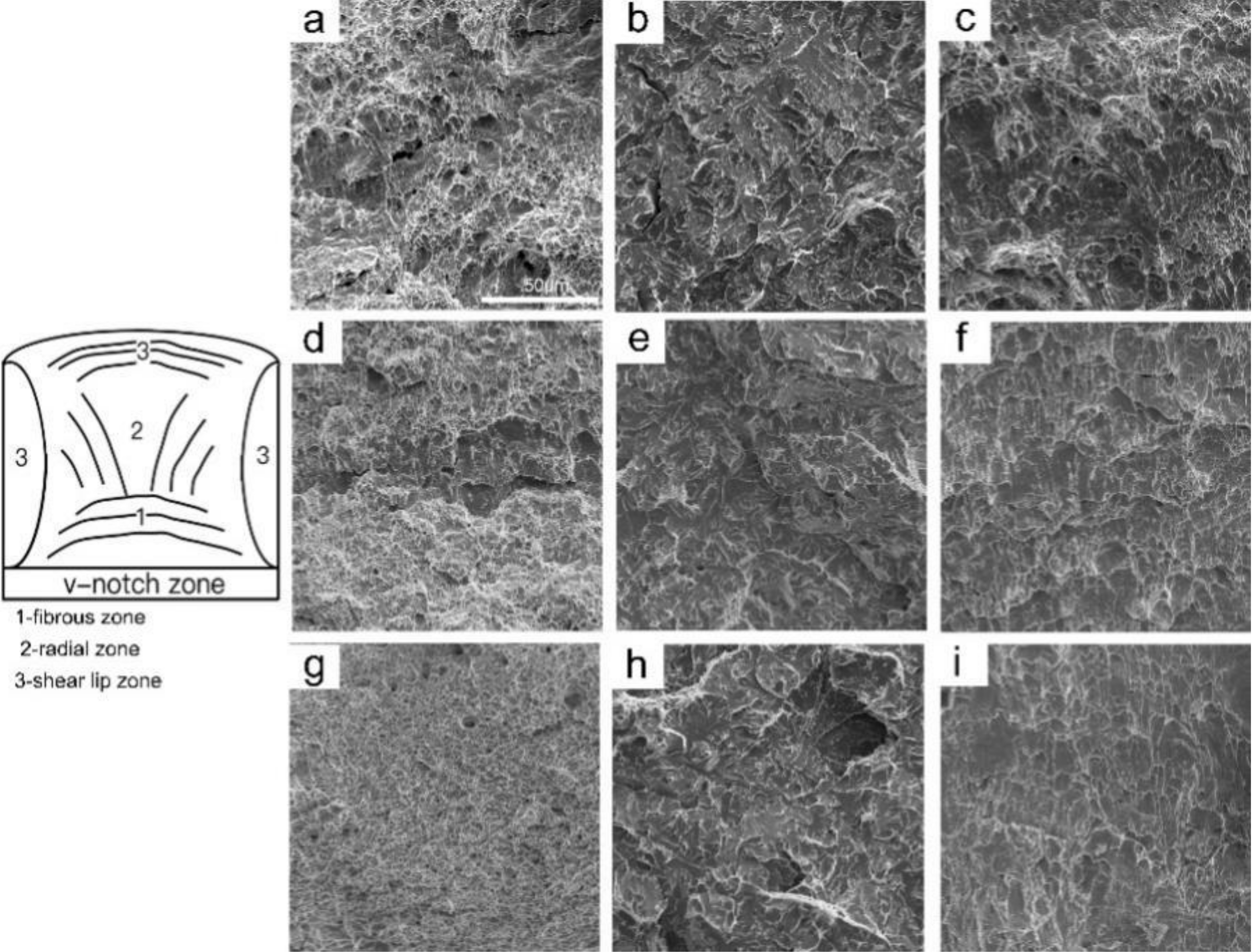 Materials 15 01420 g014 Materials 15 01420 g014