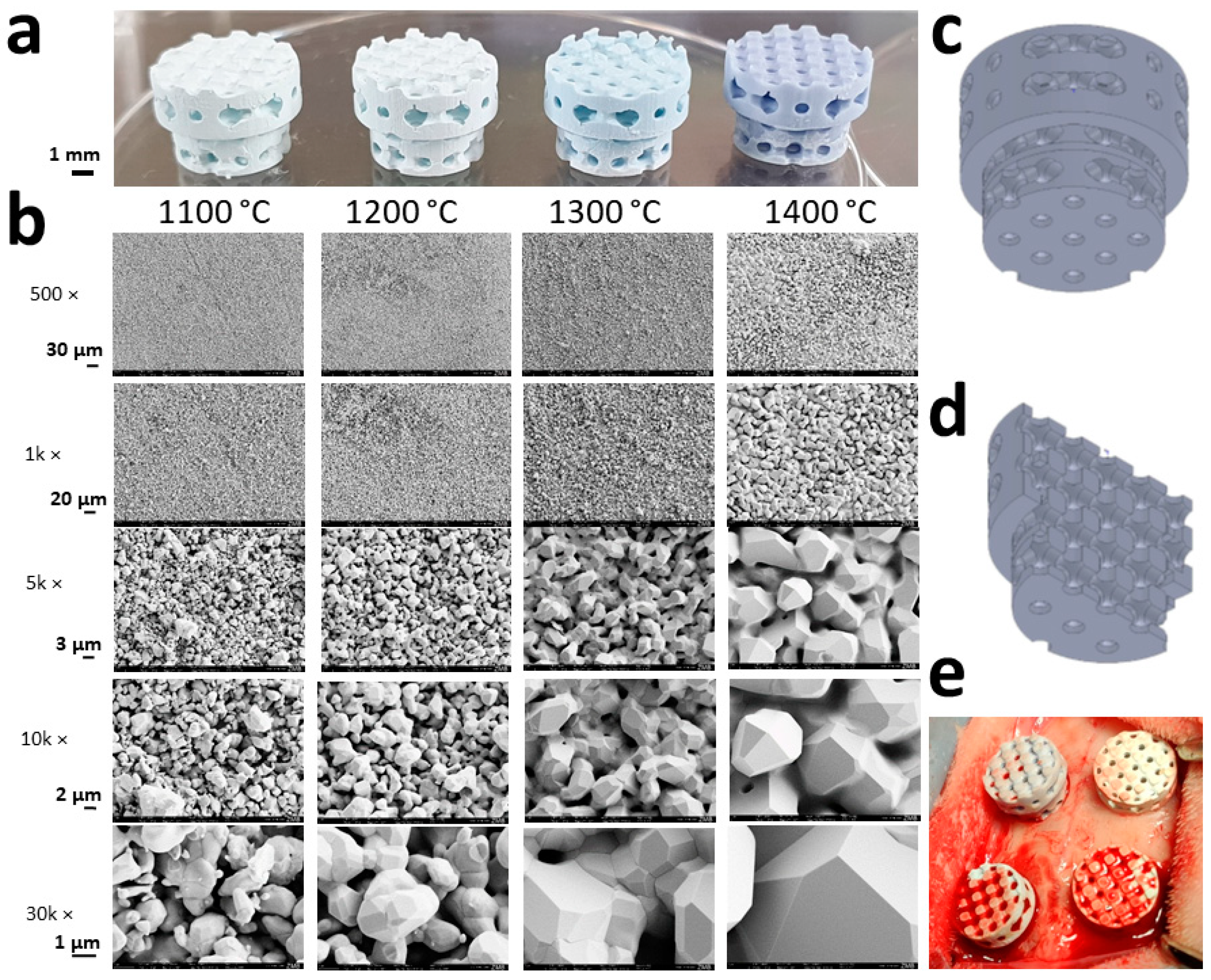 Materials 15 01433 g001