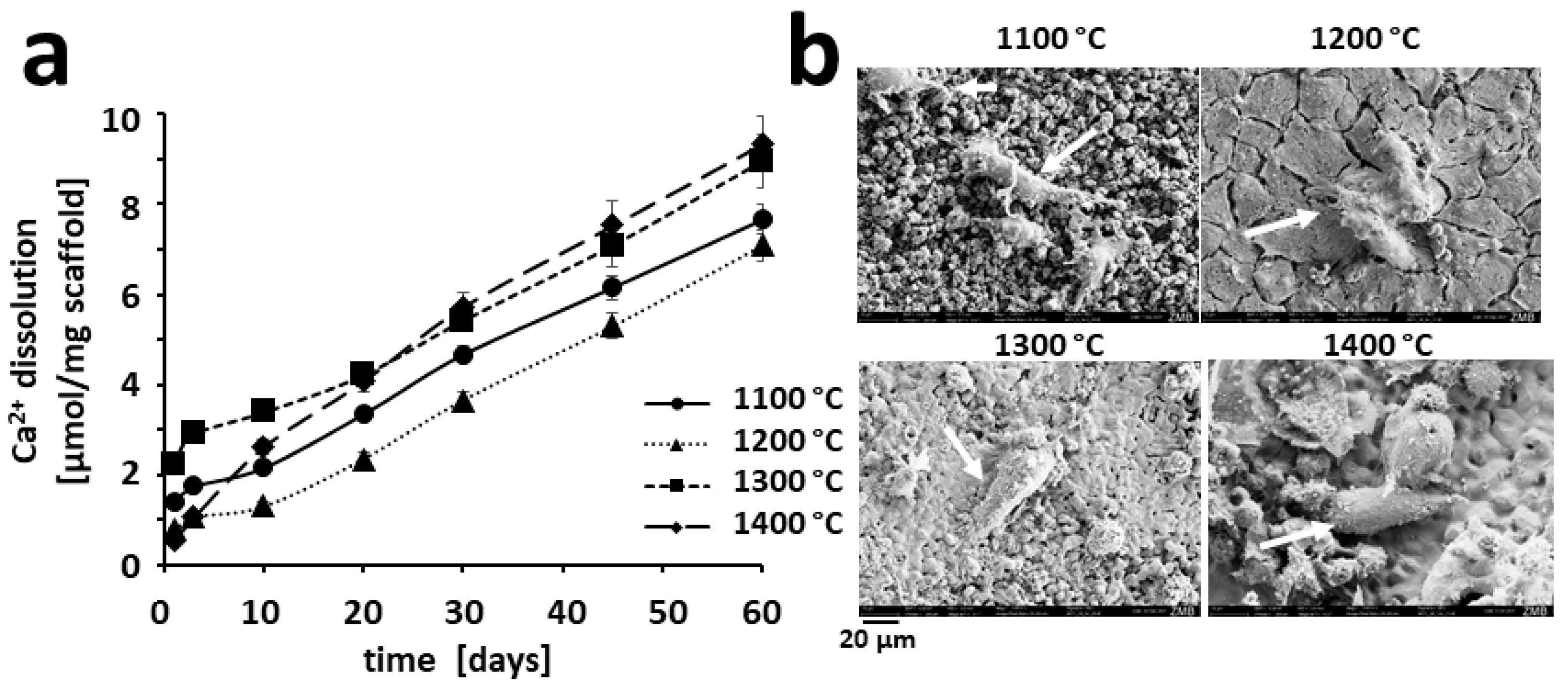 Materials 15 01433 g004