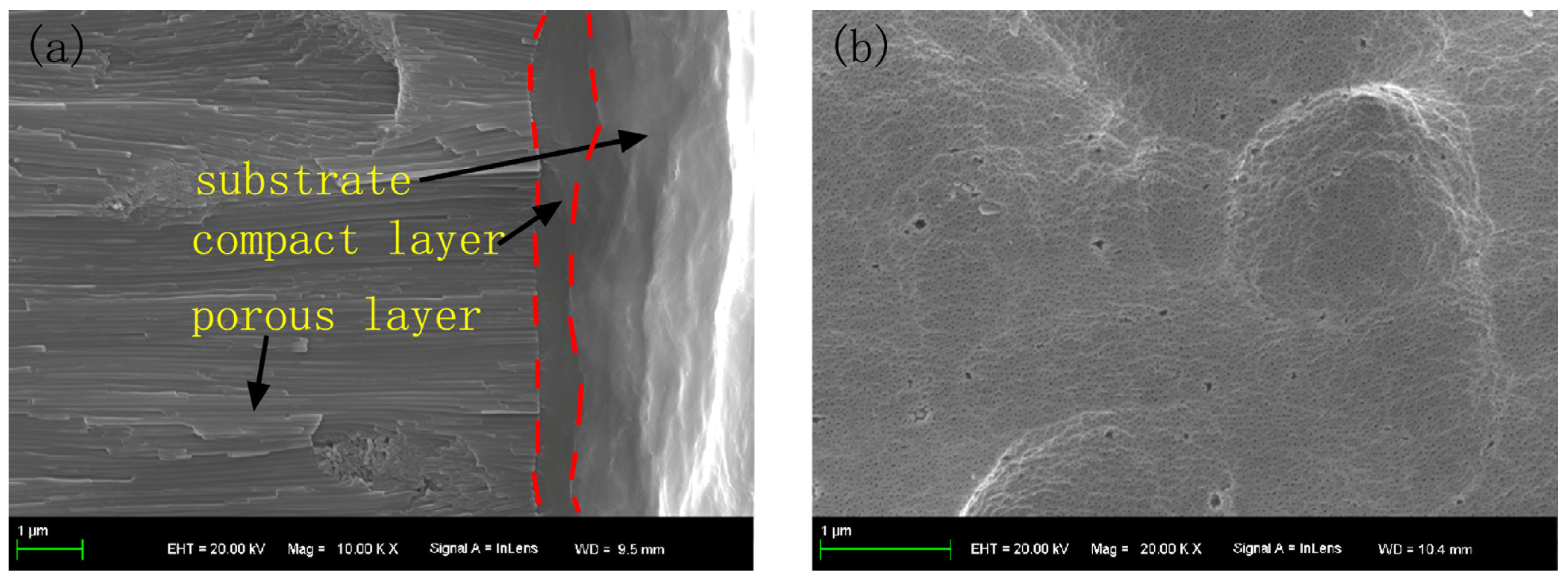 Materials 15 01447 g001