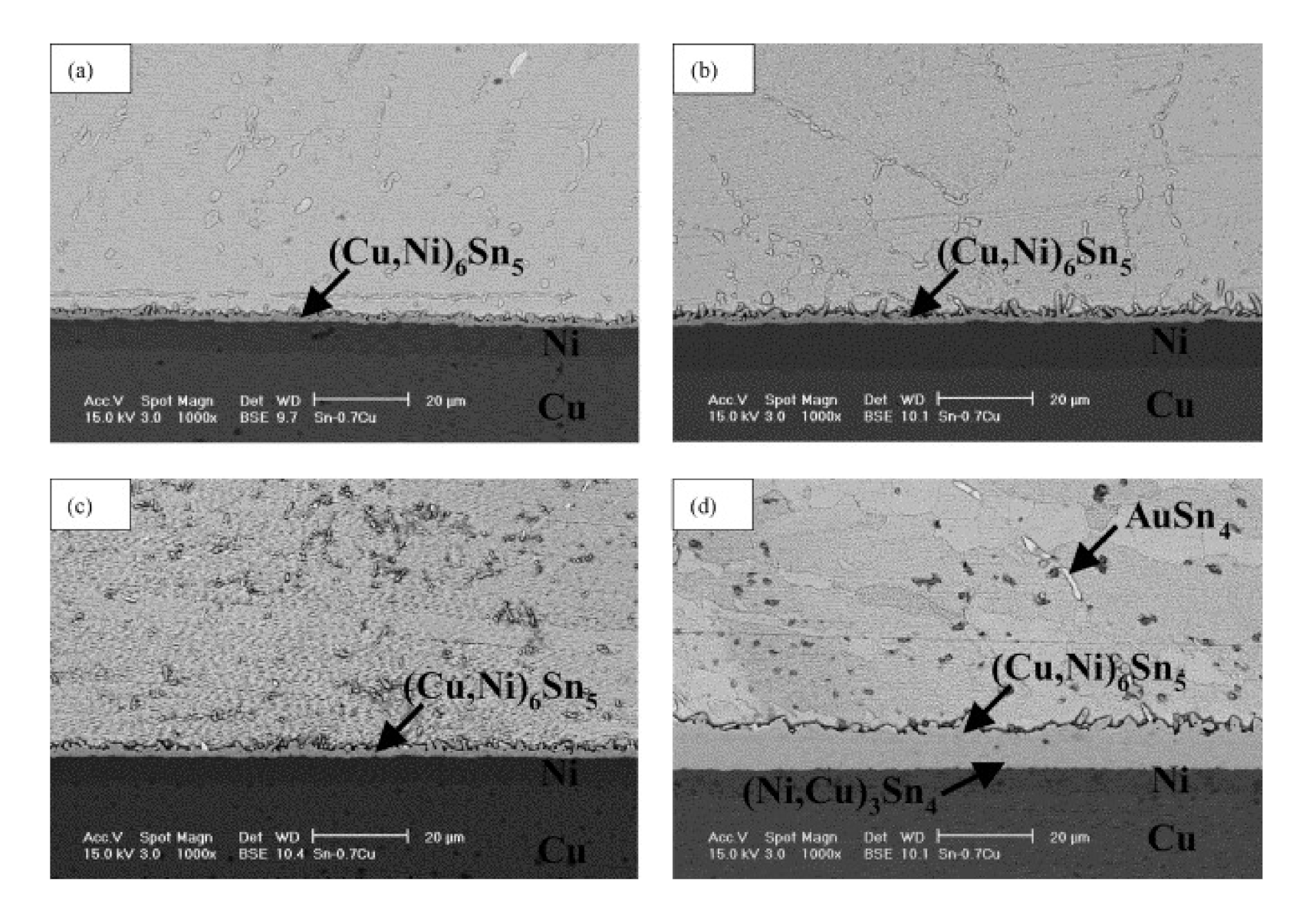 Materials 15 01451 g004