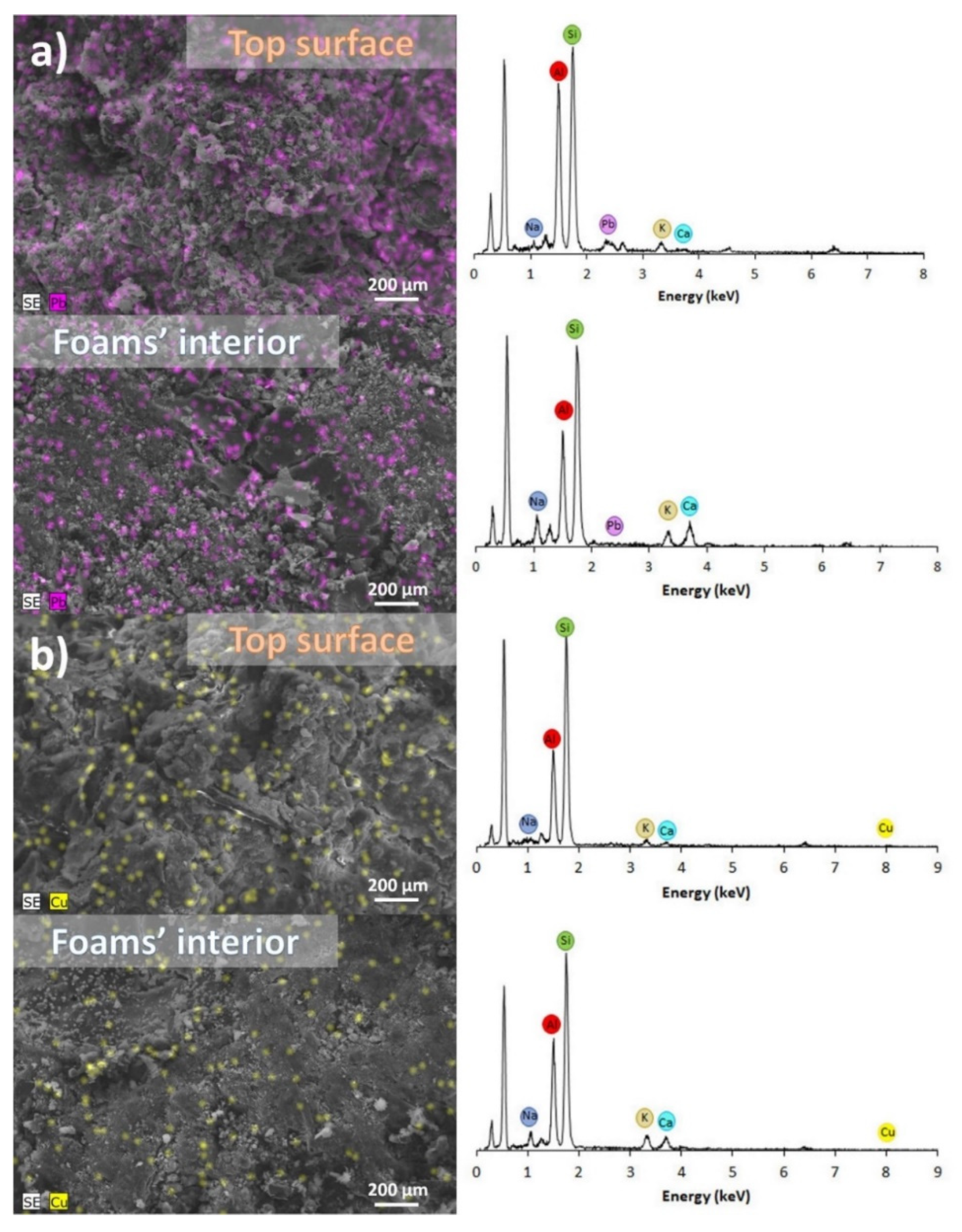 Materials 15 01453 g007