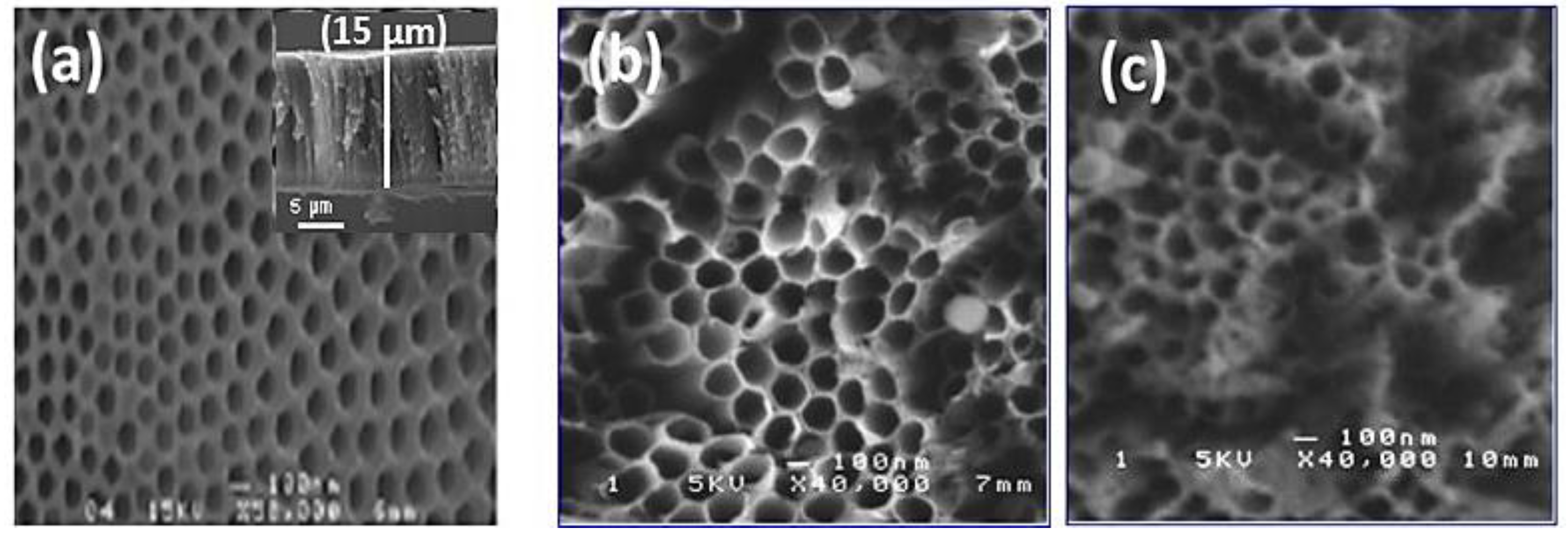 Materials 15 01463 g002