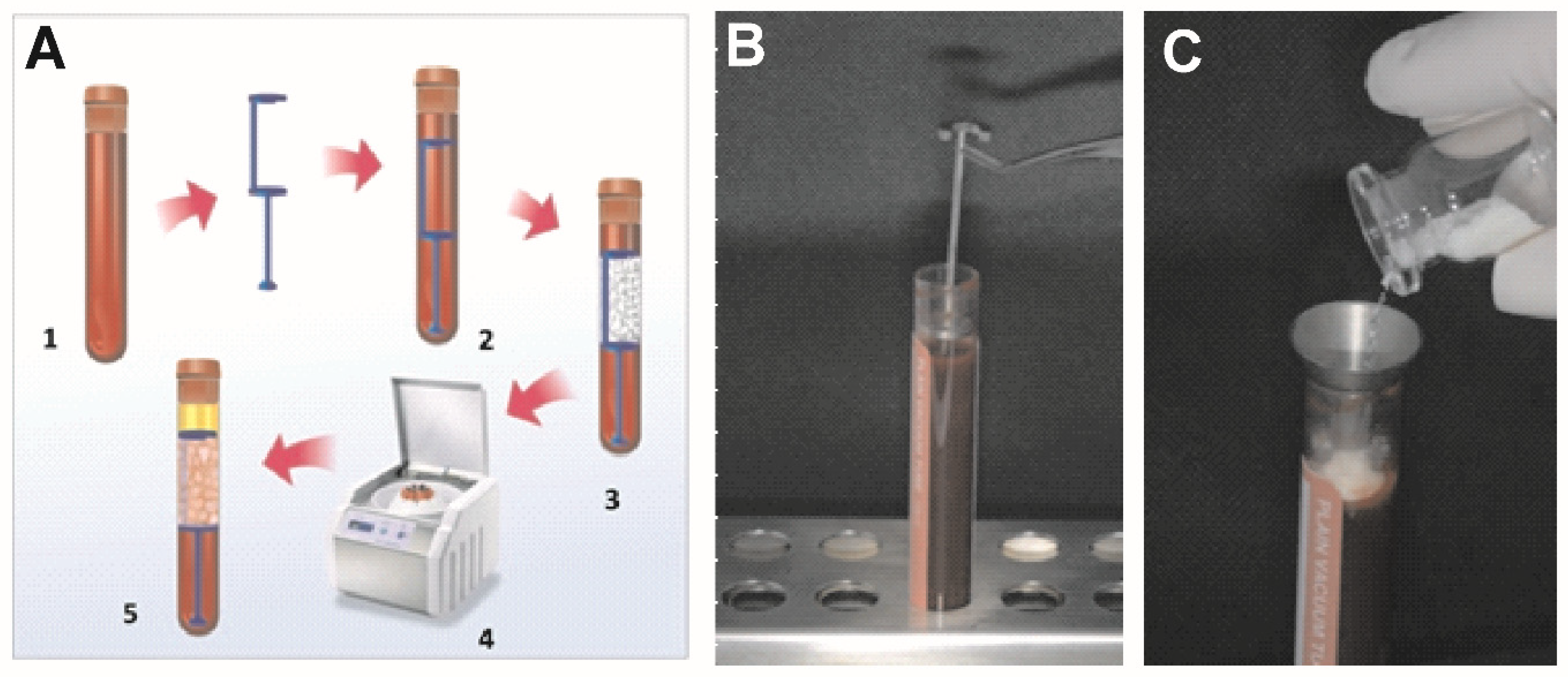 Materials 15 01474 g002