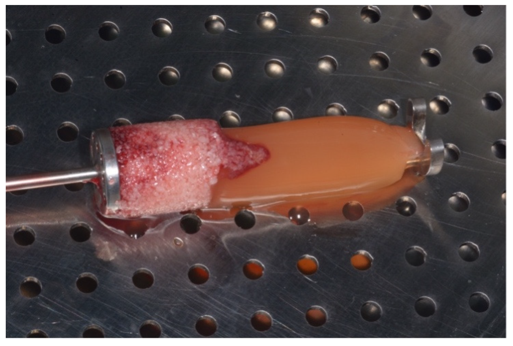 Materials 15 01474 g003