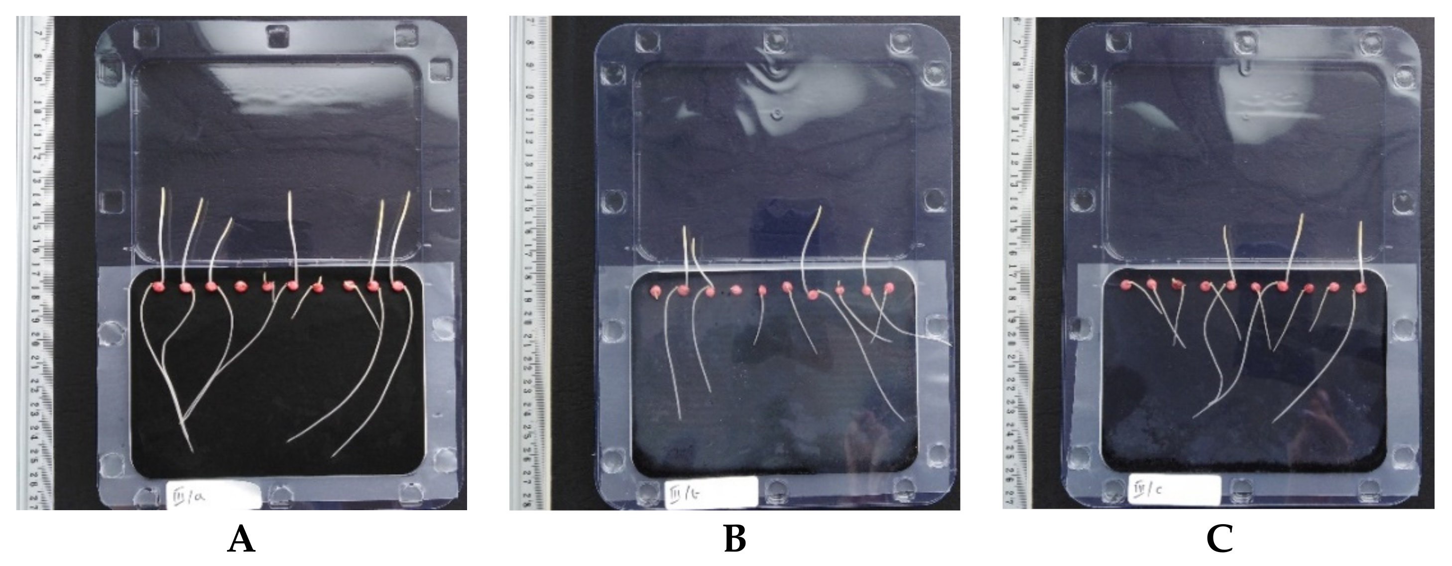 Materials 15 01475 g004