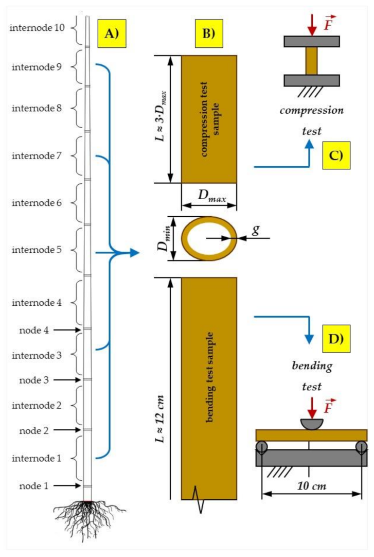 Materials 15 01480 g001