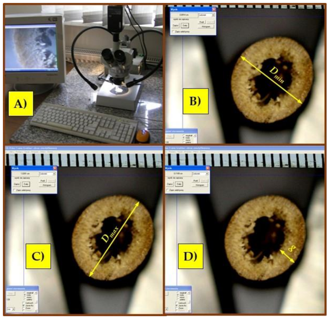 Materials 15 01480 g002
