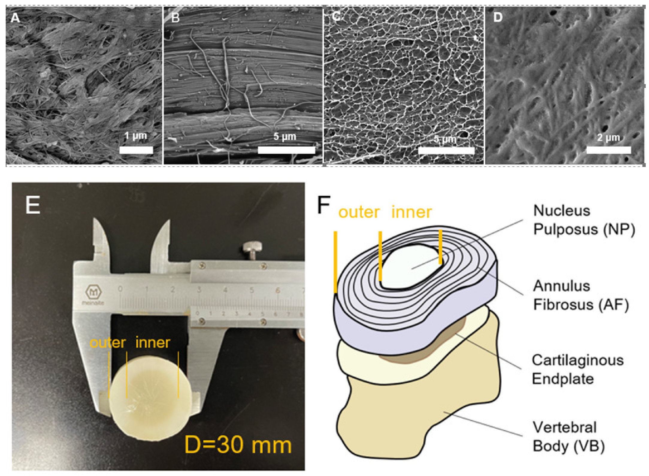 Materials 15 01481 g003