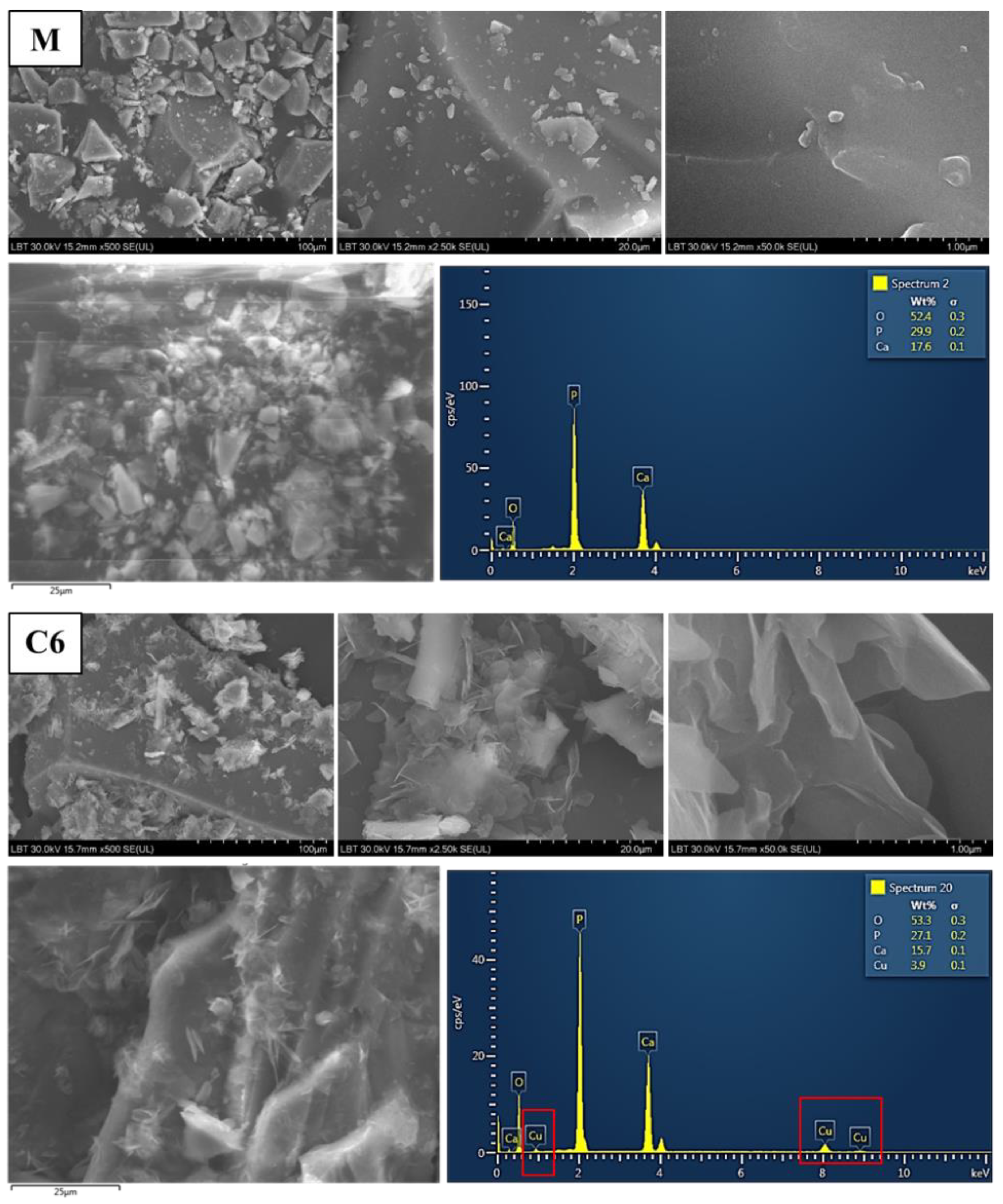 Materials 15 01526 g004 Materials 15 01526 g004