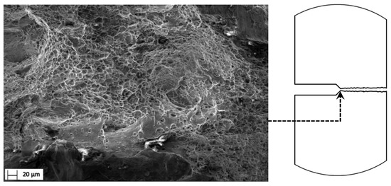 Materials 15 01546 g011 550