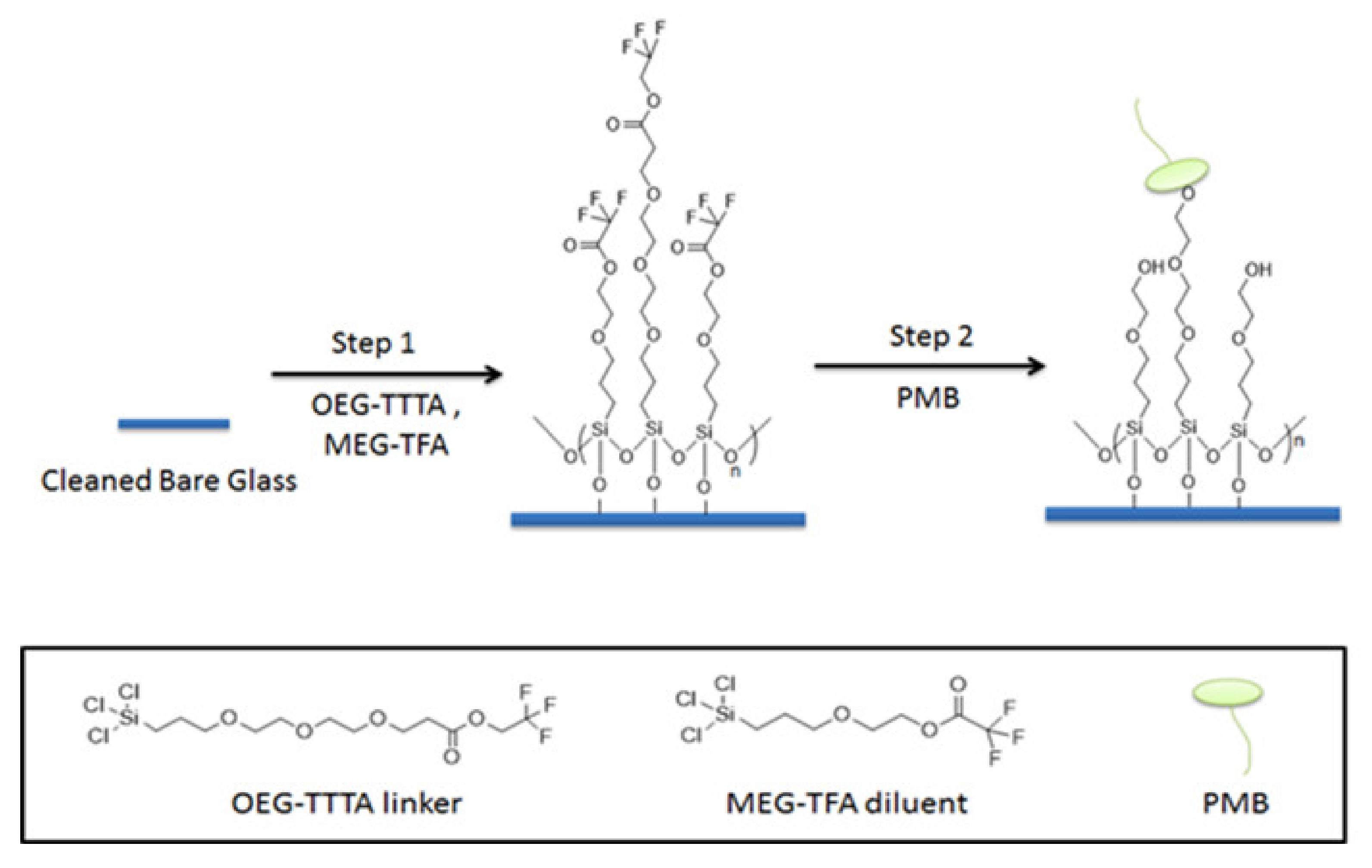 Materials 15 01551 g002