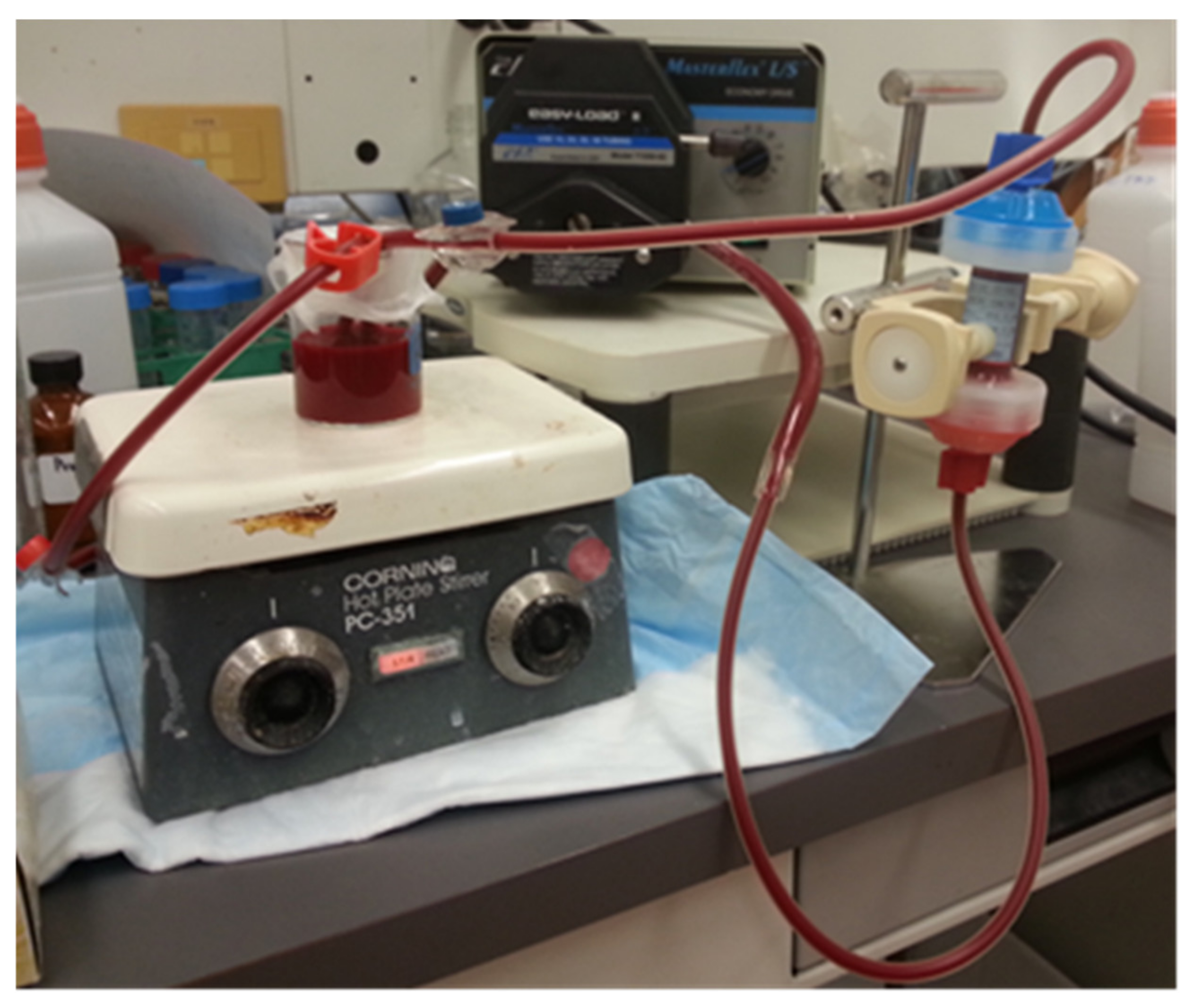 Materials 15 01551 g004