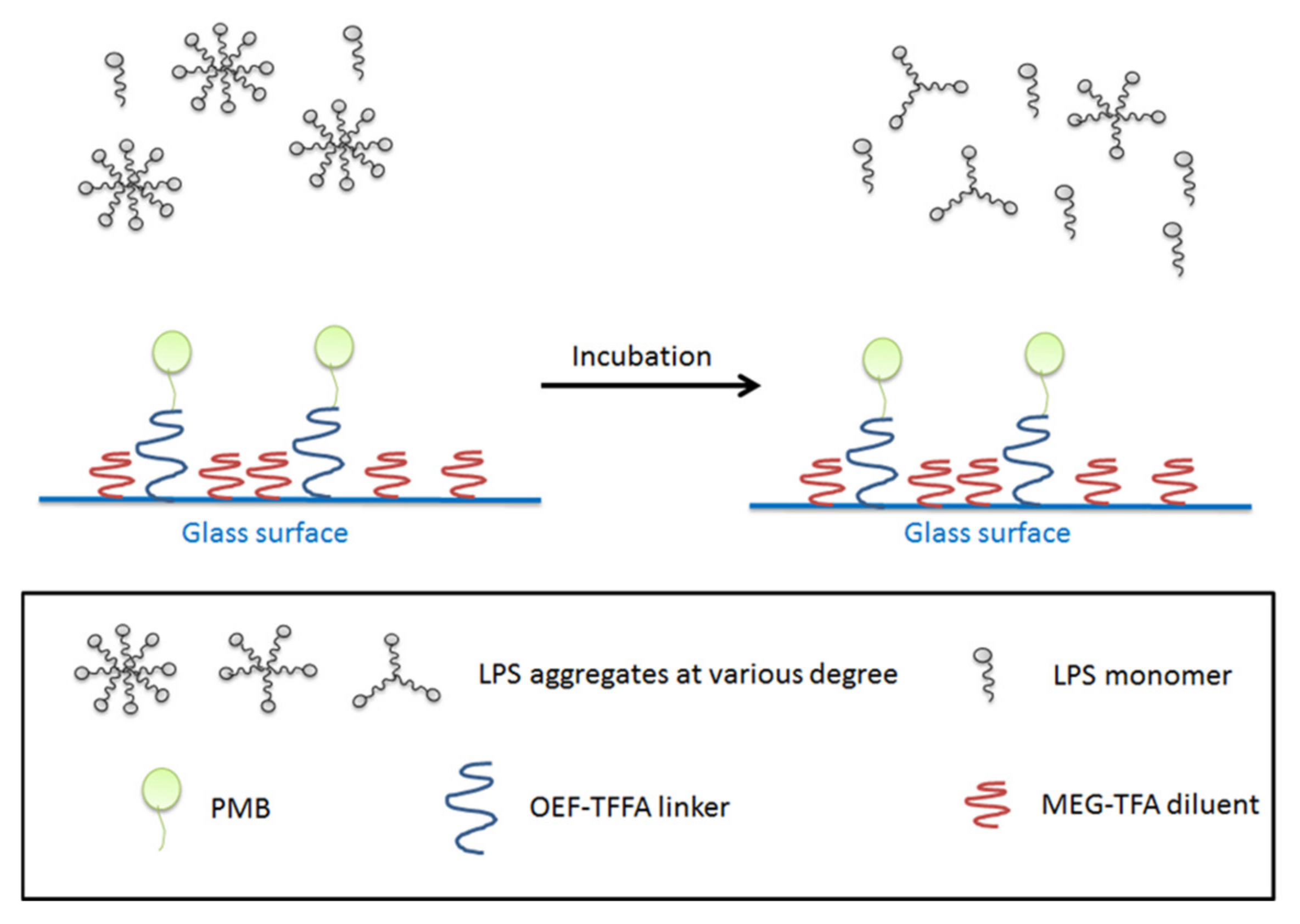 Materials 15 01551 g006