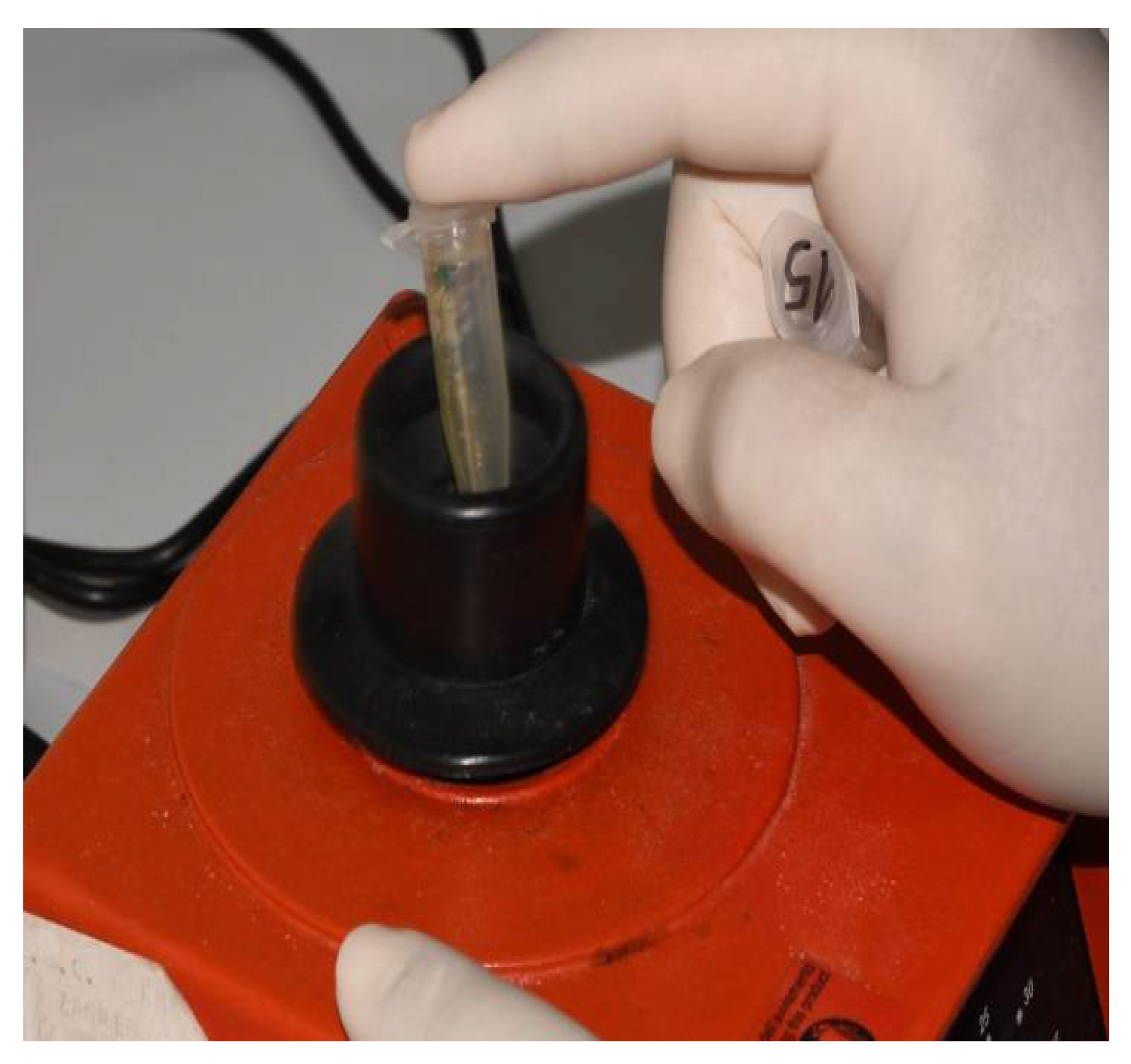 Materials 15 01597 g007