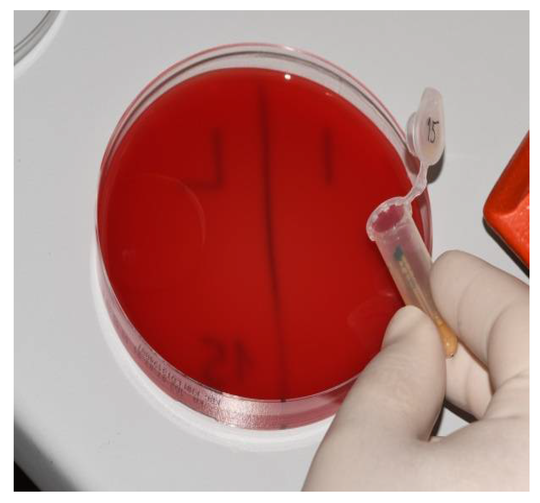 Materials 15 01597 g008