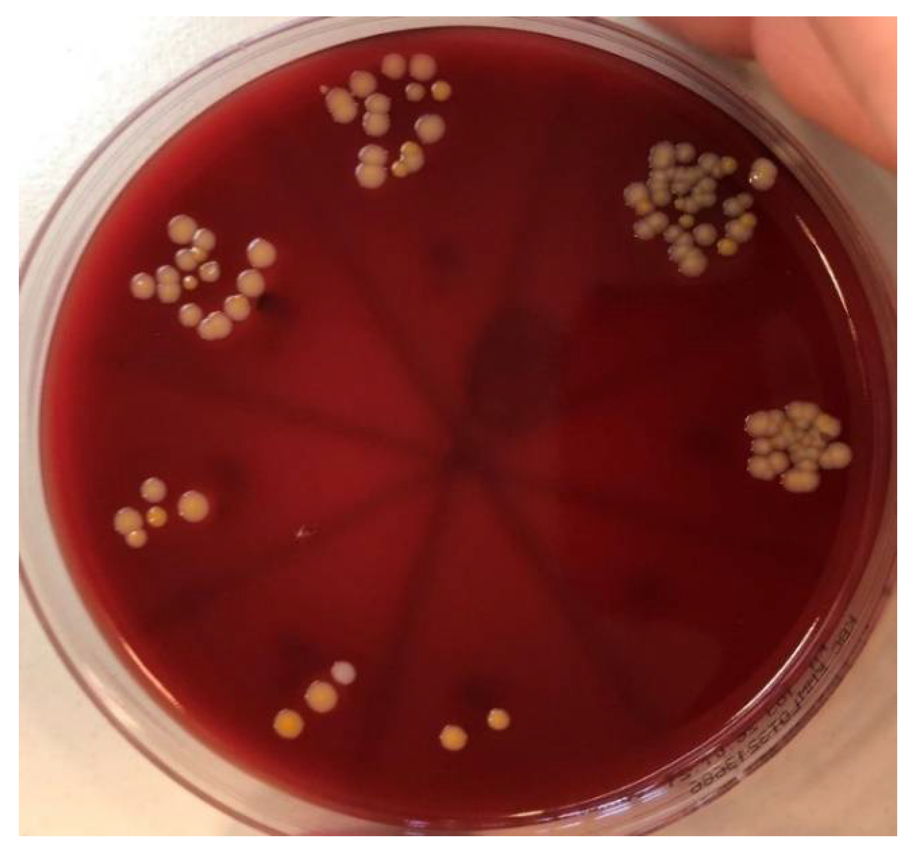 Materials 15 01597 g009