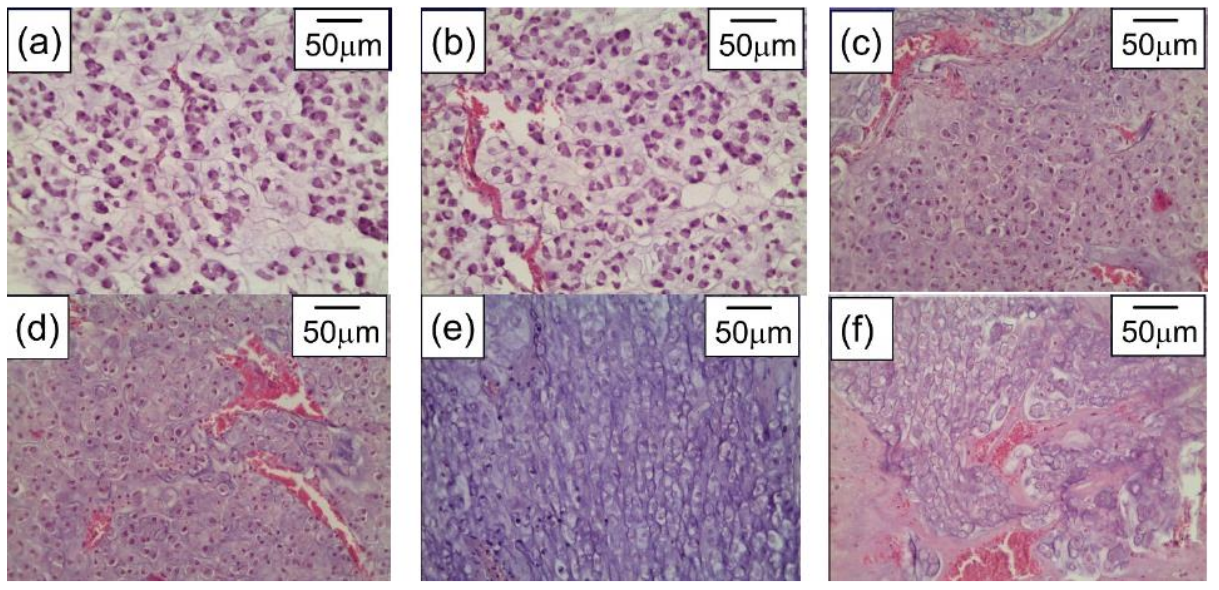 Materials 15 01606 g013
