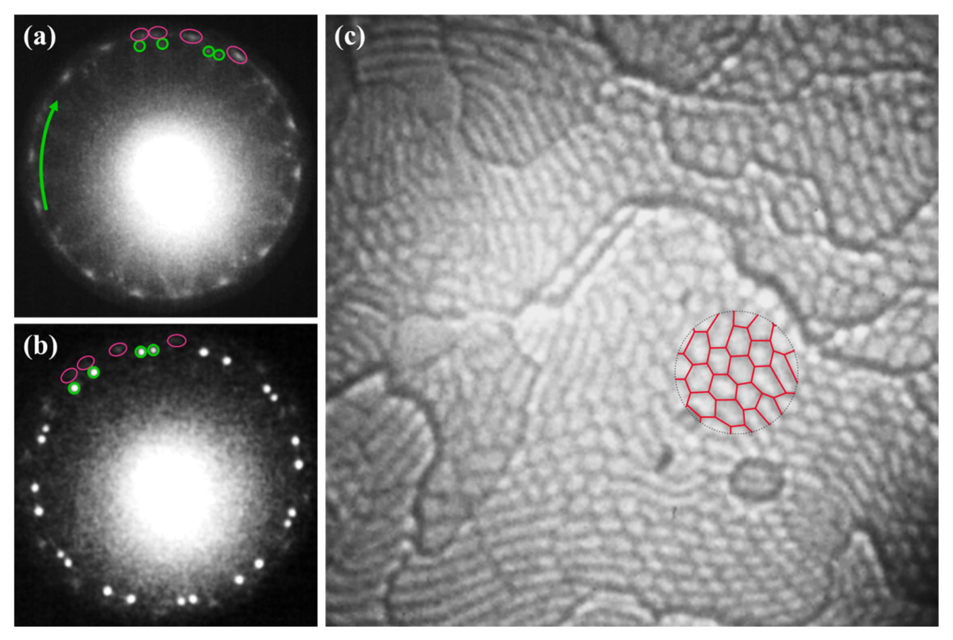 Materials 15 01610 g003