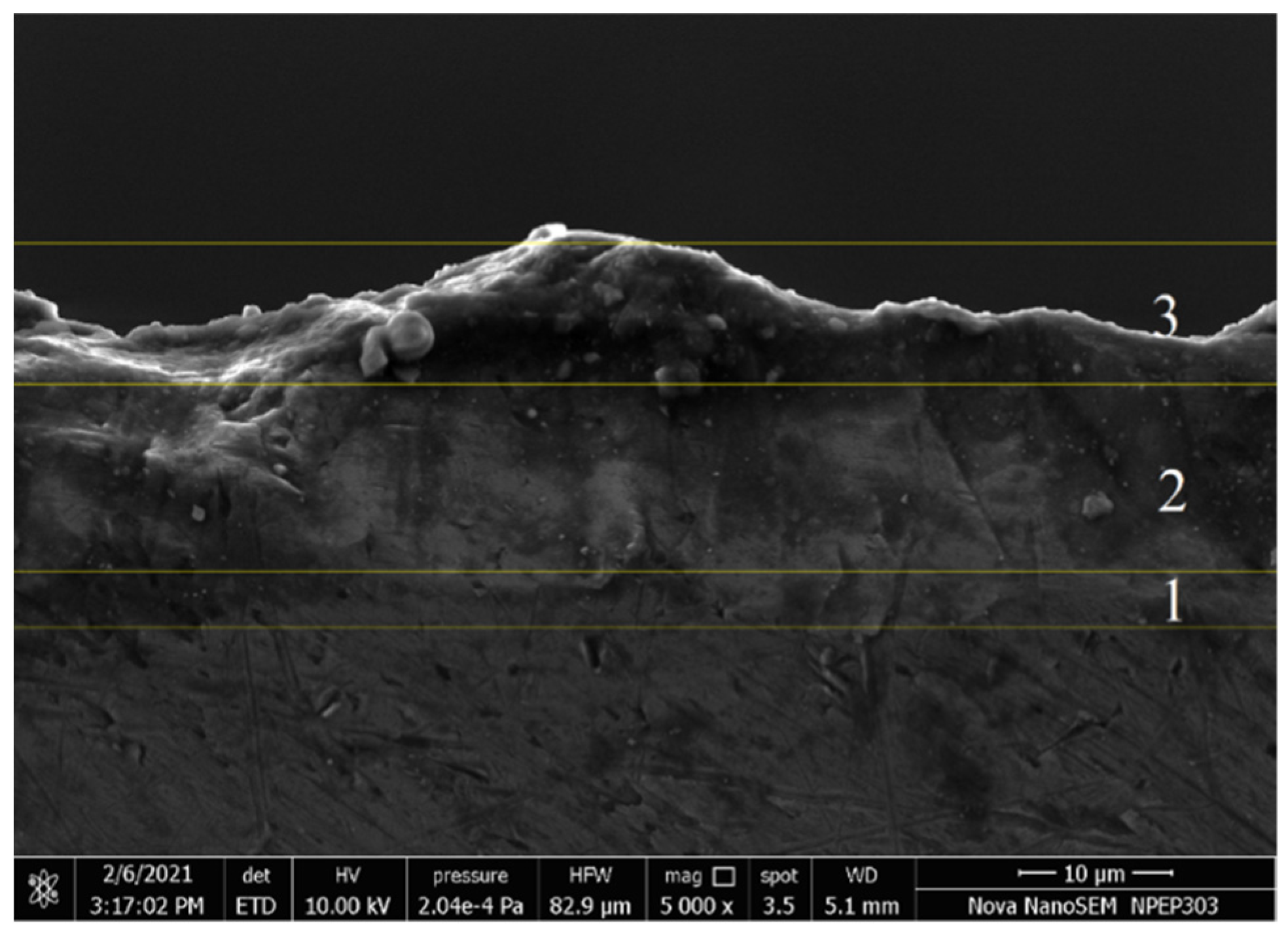 Materials 15 01616 g004