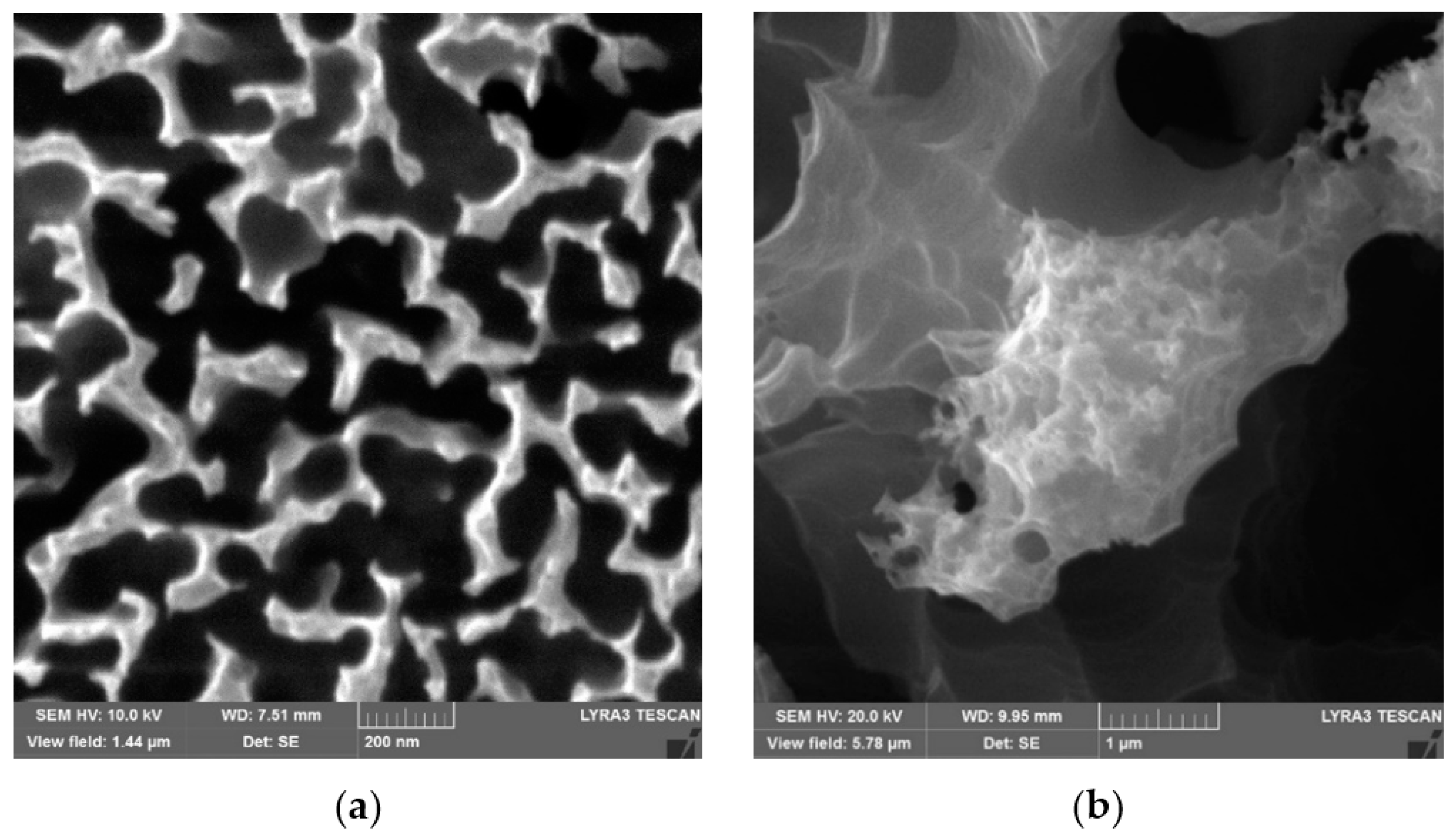 Materials 15 01645 g001