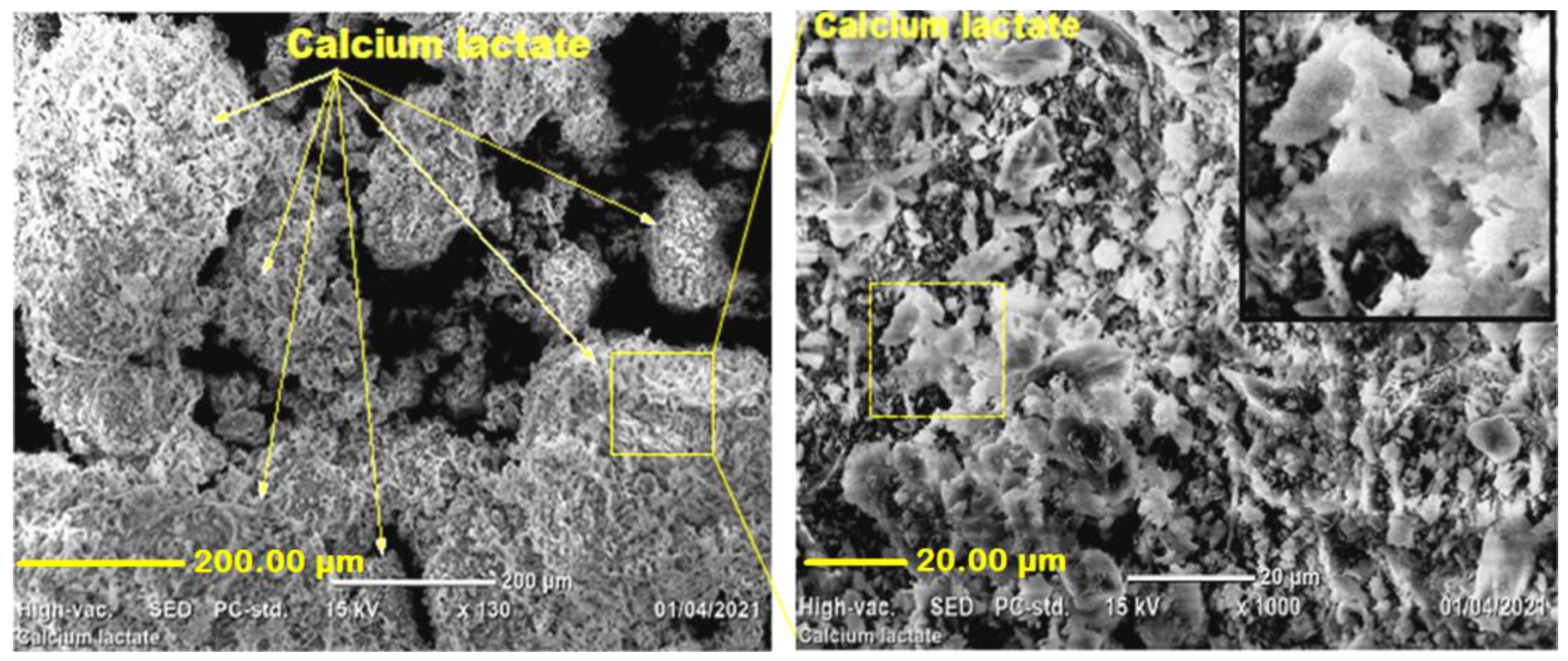 Materials 15 01650 g004