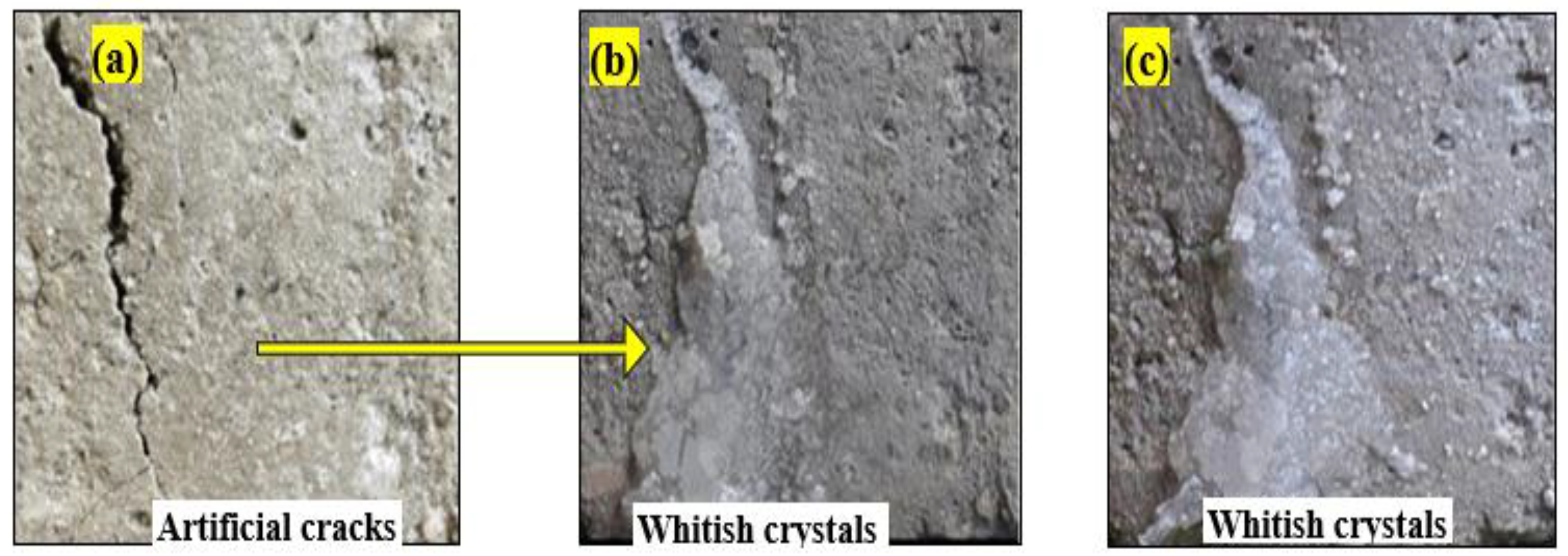 Materials 15 01650 g006