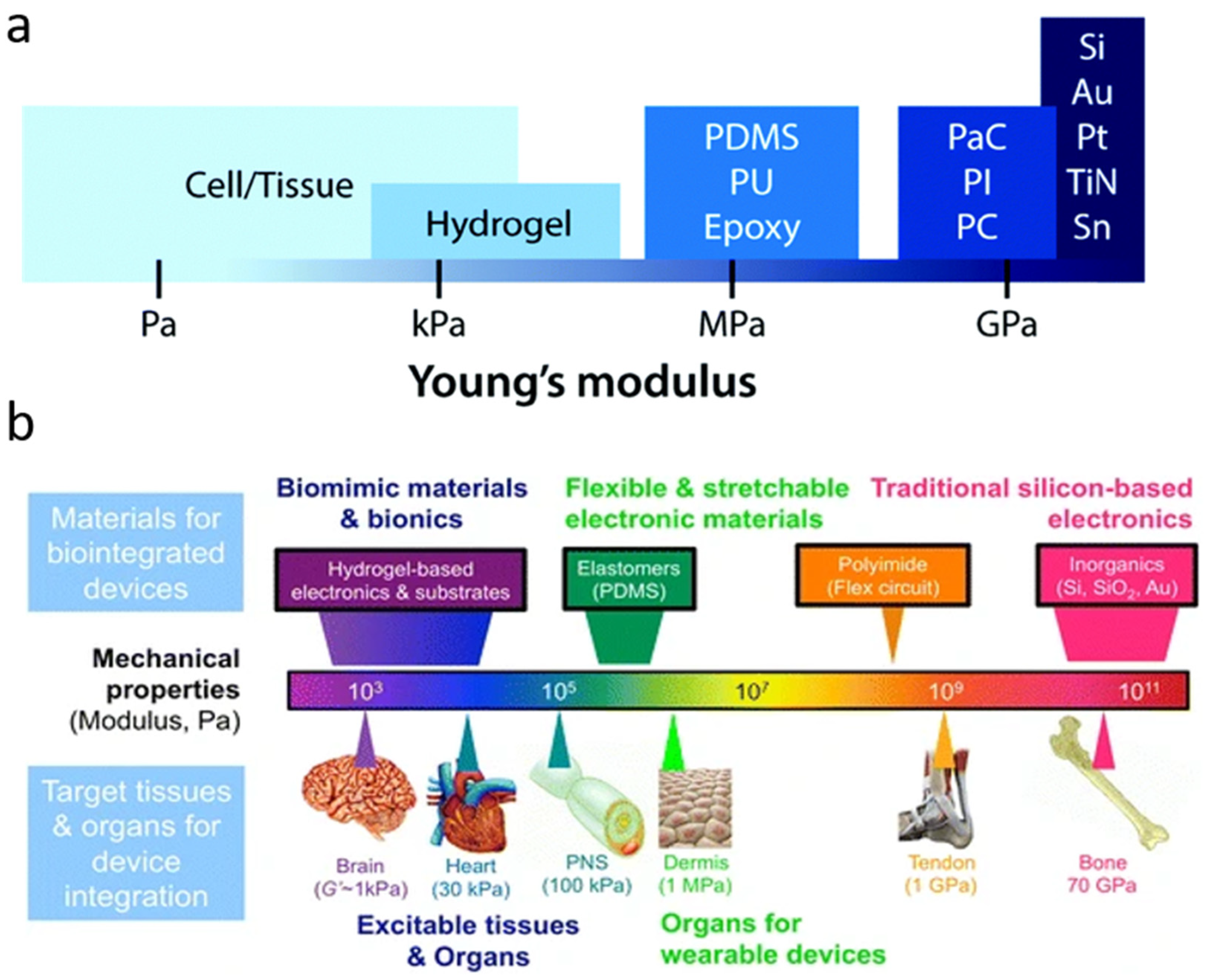 Materials 15 01664 g001