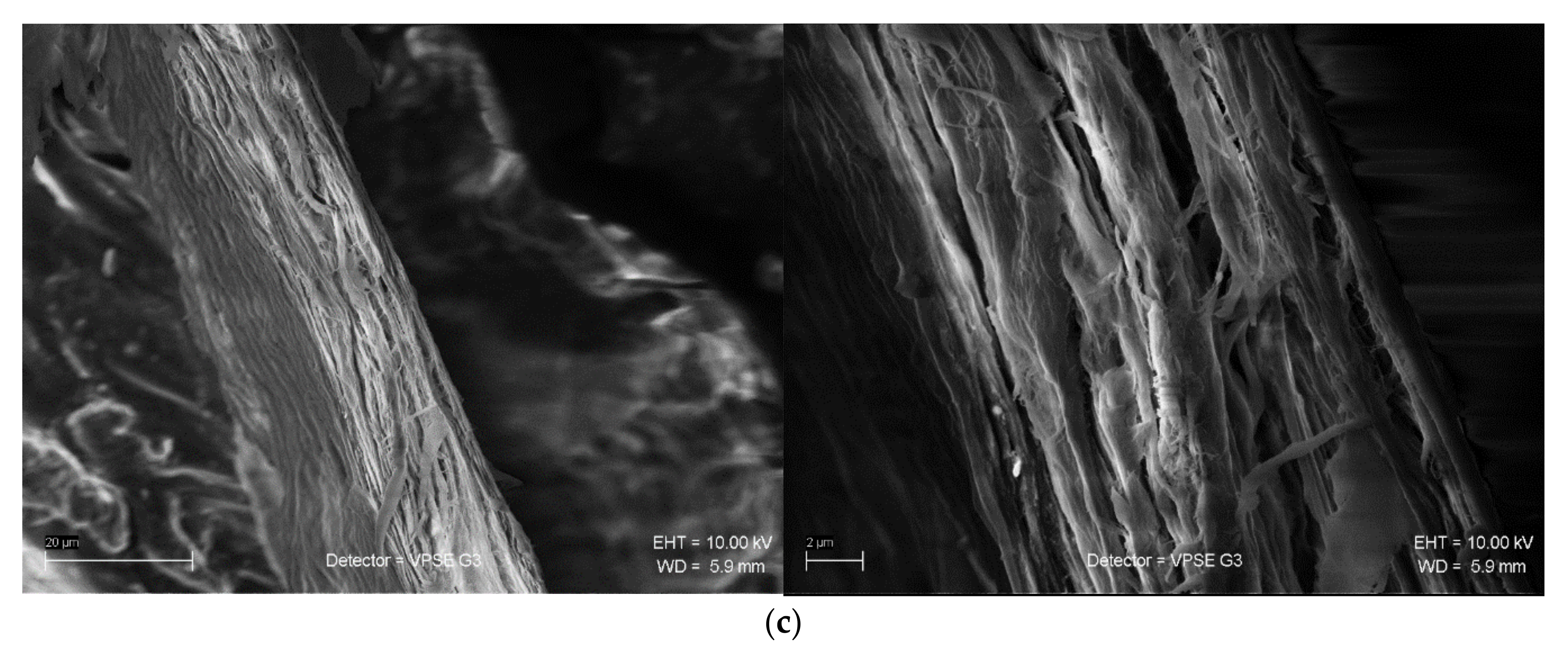 Materials 15 01699 g005b