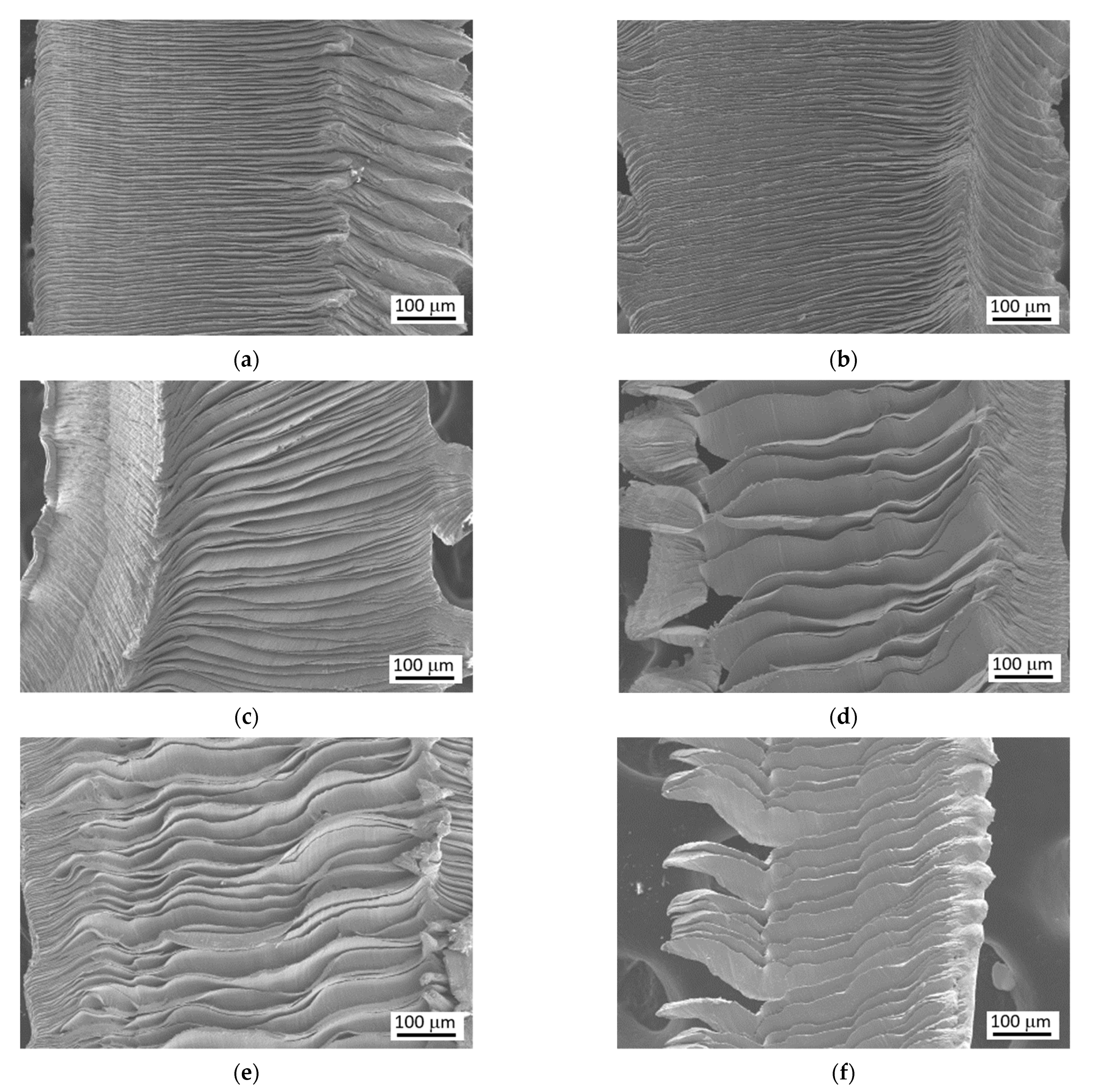 Materials 15 01718 g005
