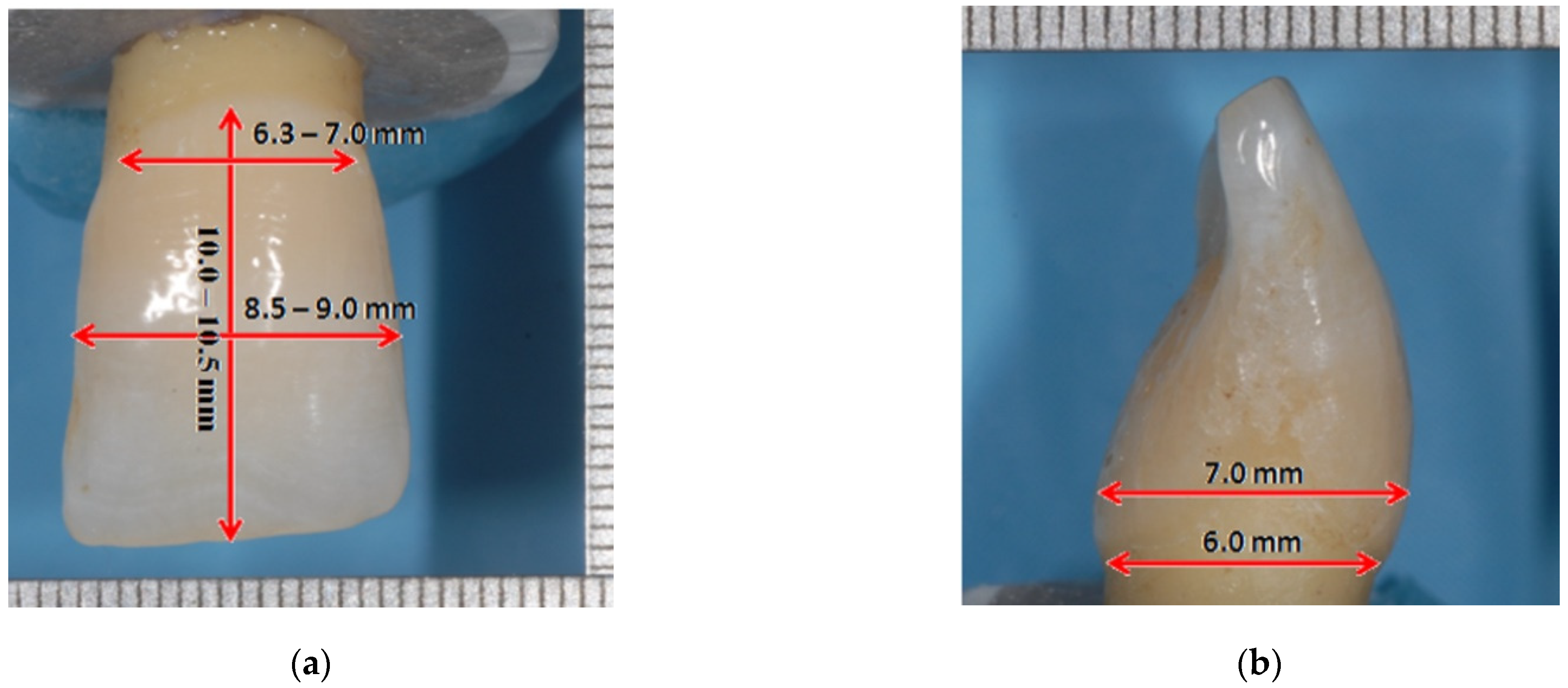 Materials 15 01763 g002