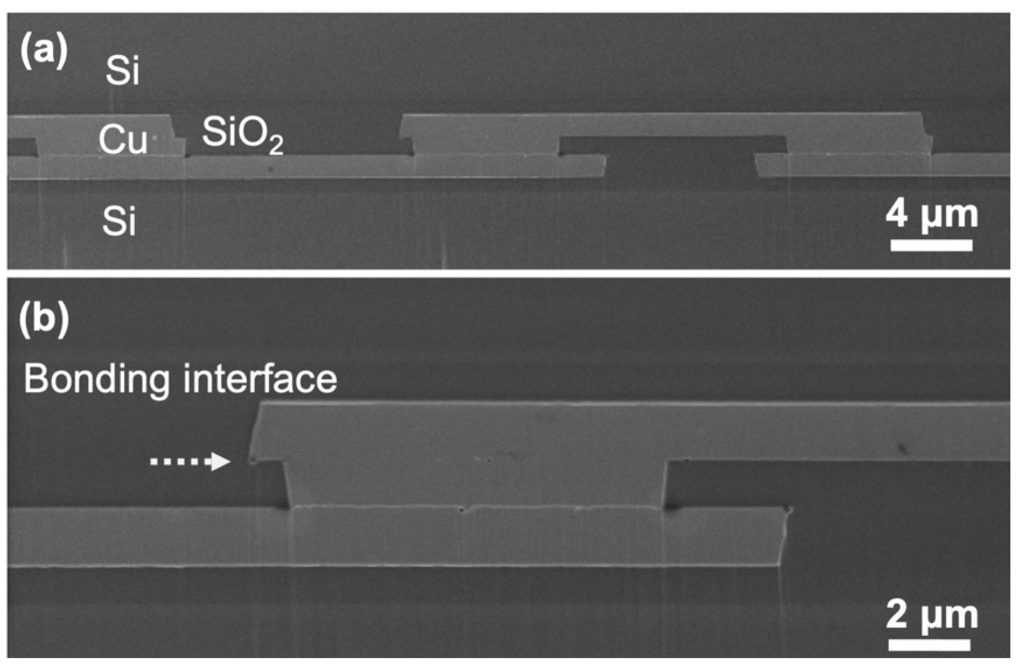 Materials 15 01888 g006 Materials 15 01888 g006