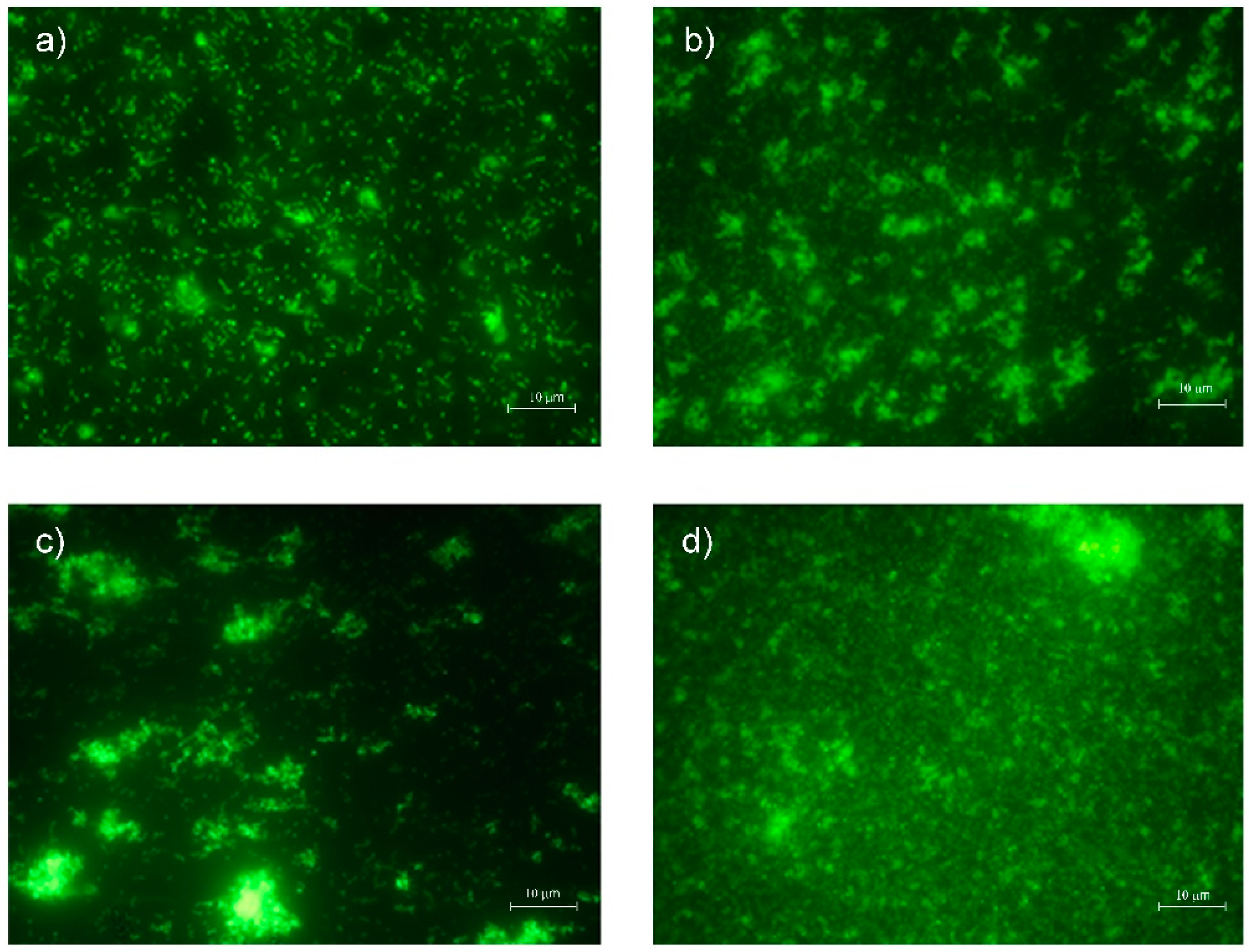 Materials 15 01891 g001