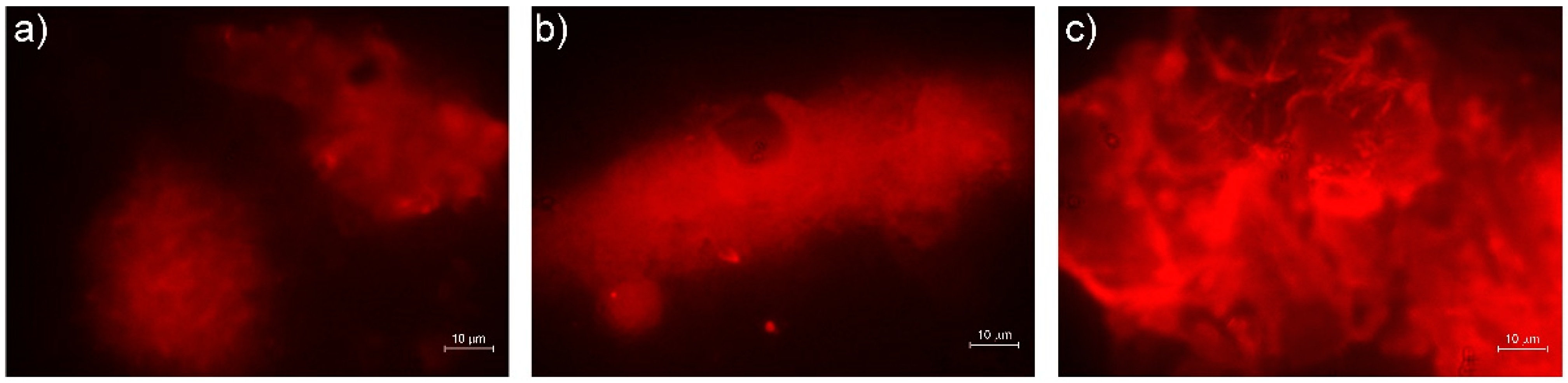 Materials 15 01891 g002