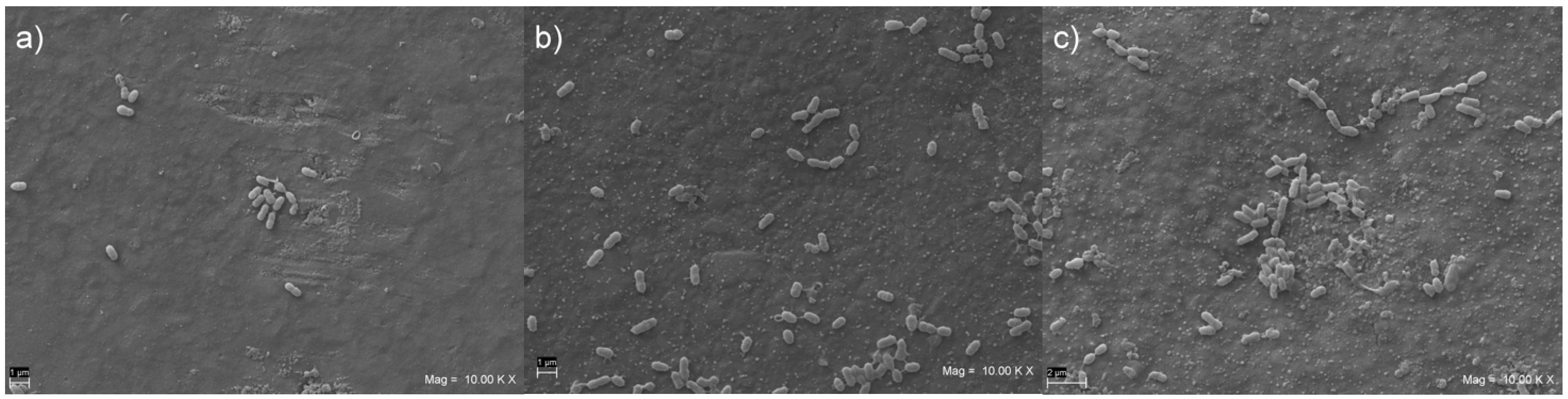 Materials 15 01891 g003